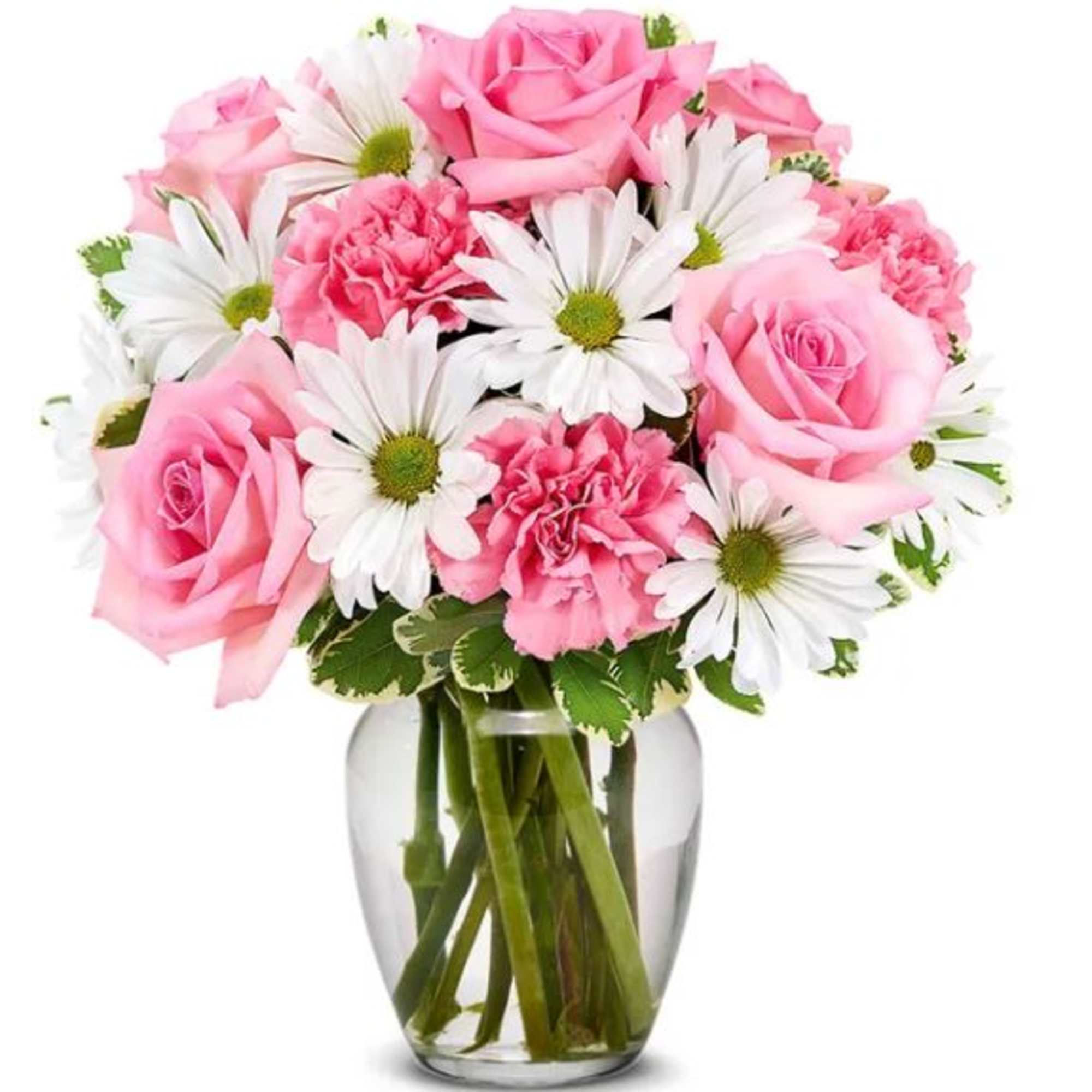 An eye-catching bouquet of pink roses (deluxe &amp; premium sizes), pink carnations