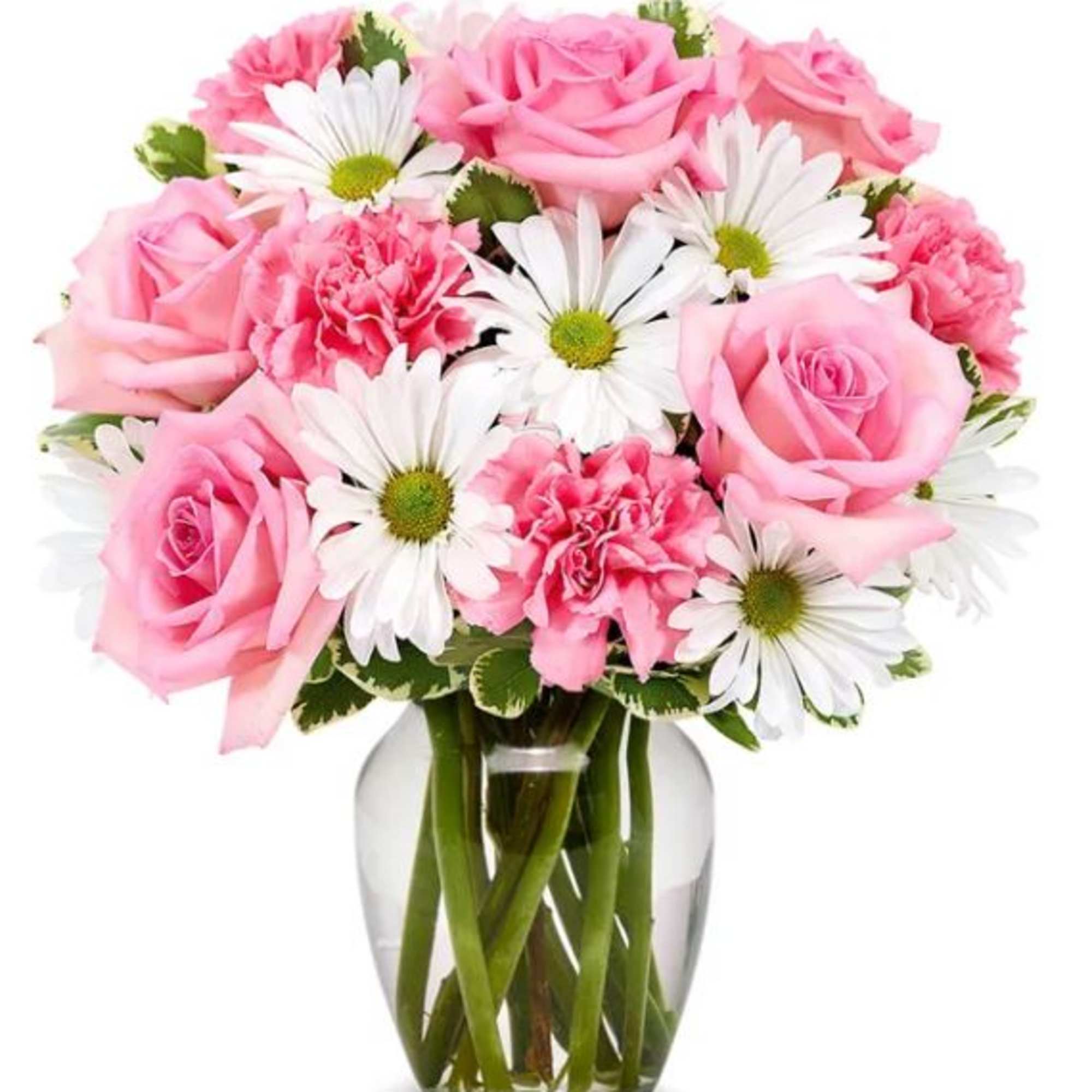 An eye-catching bouquet of pink roses (deluxe &amp; premium sizes), pink carnations