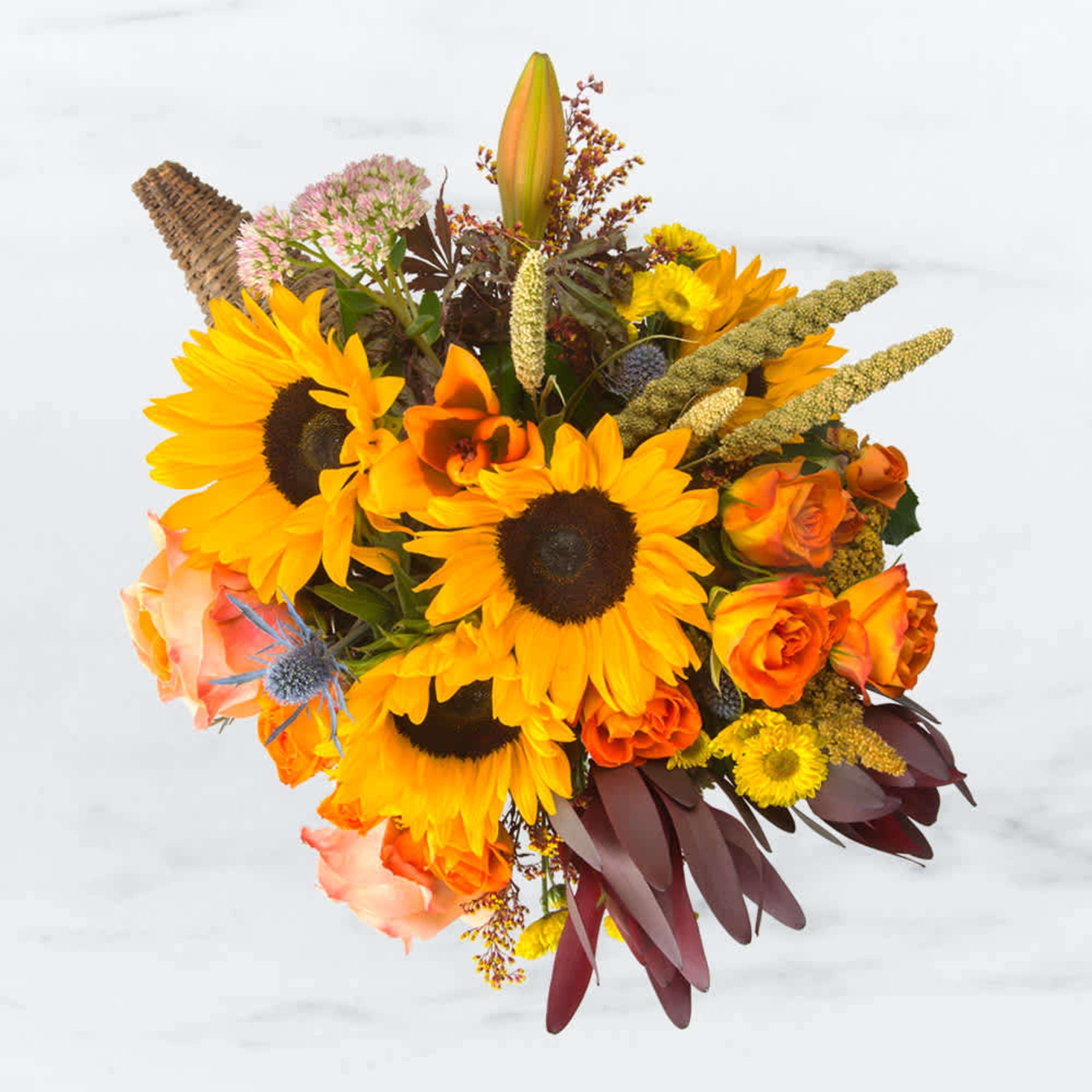 A horn of corn has been born! We all love popcorn. Corn