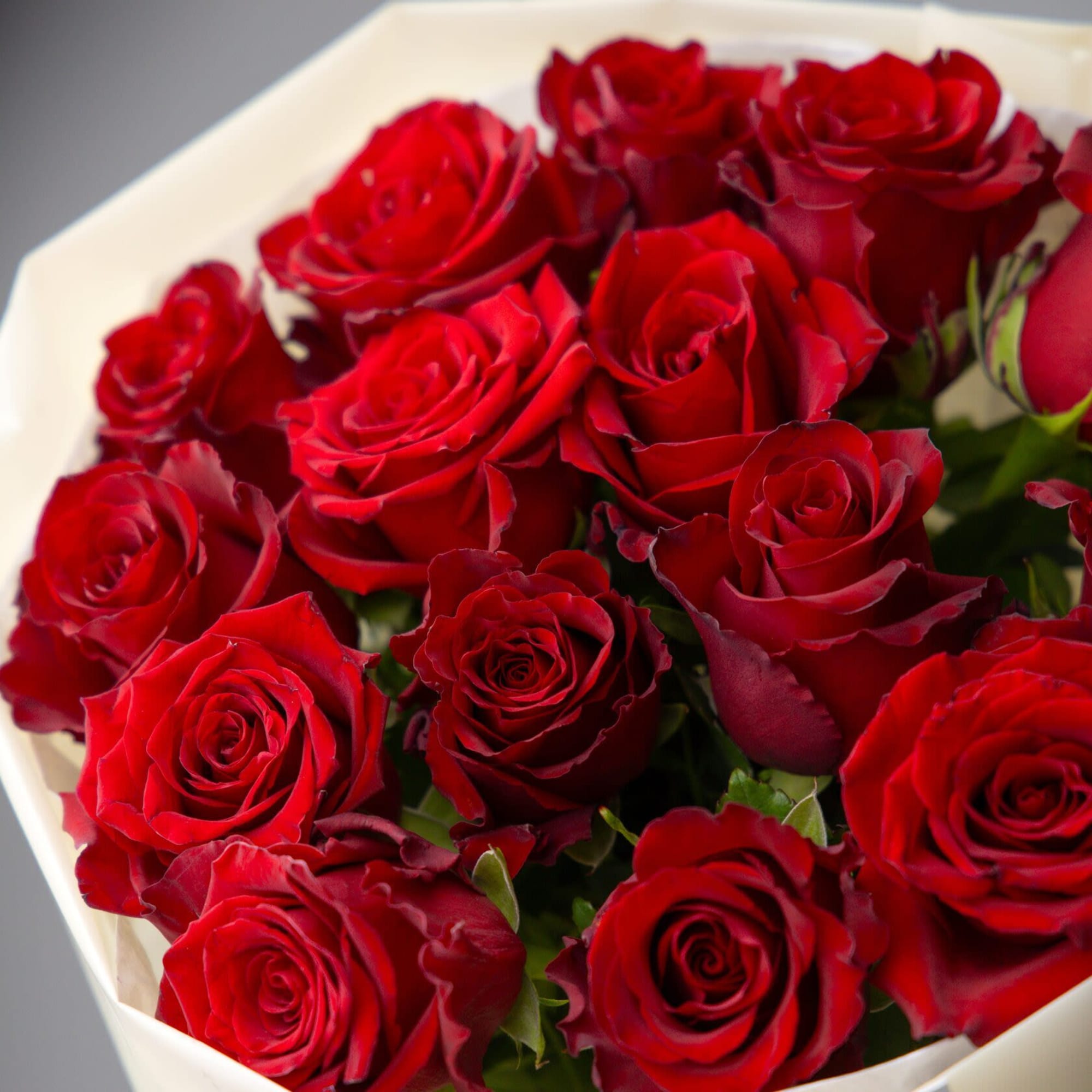 Bouquet of red roses.

Standard size - 9 roses
Deluxe size - 15 roses