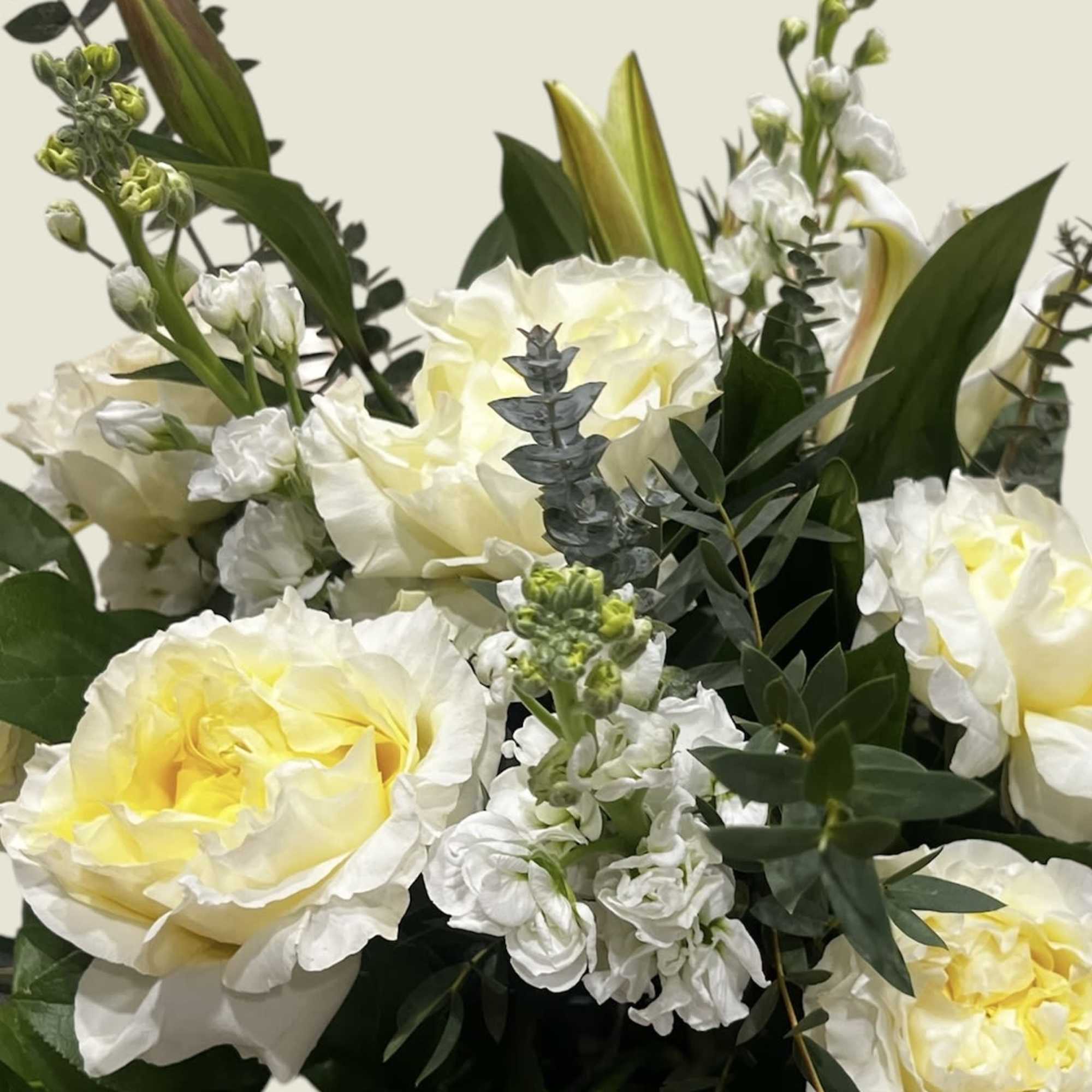 White flowers have a timeless elegance, which is captured in our luxurious