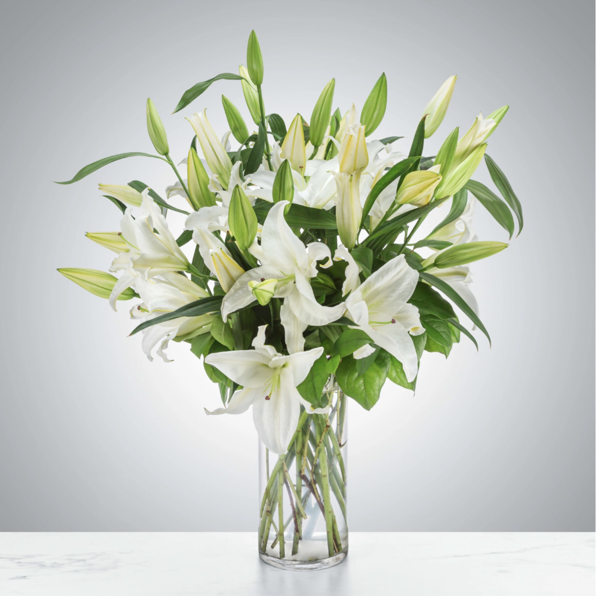 White lilies stand tall and beautiful. Send an impactful gift to somebody