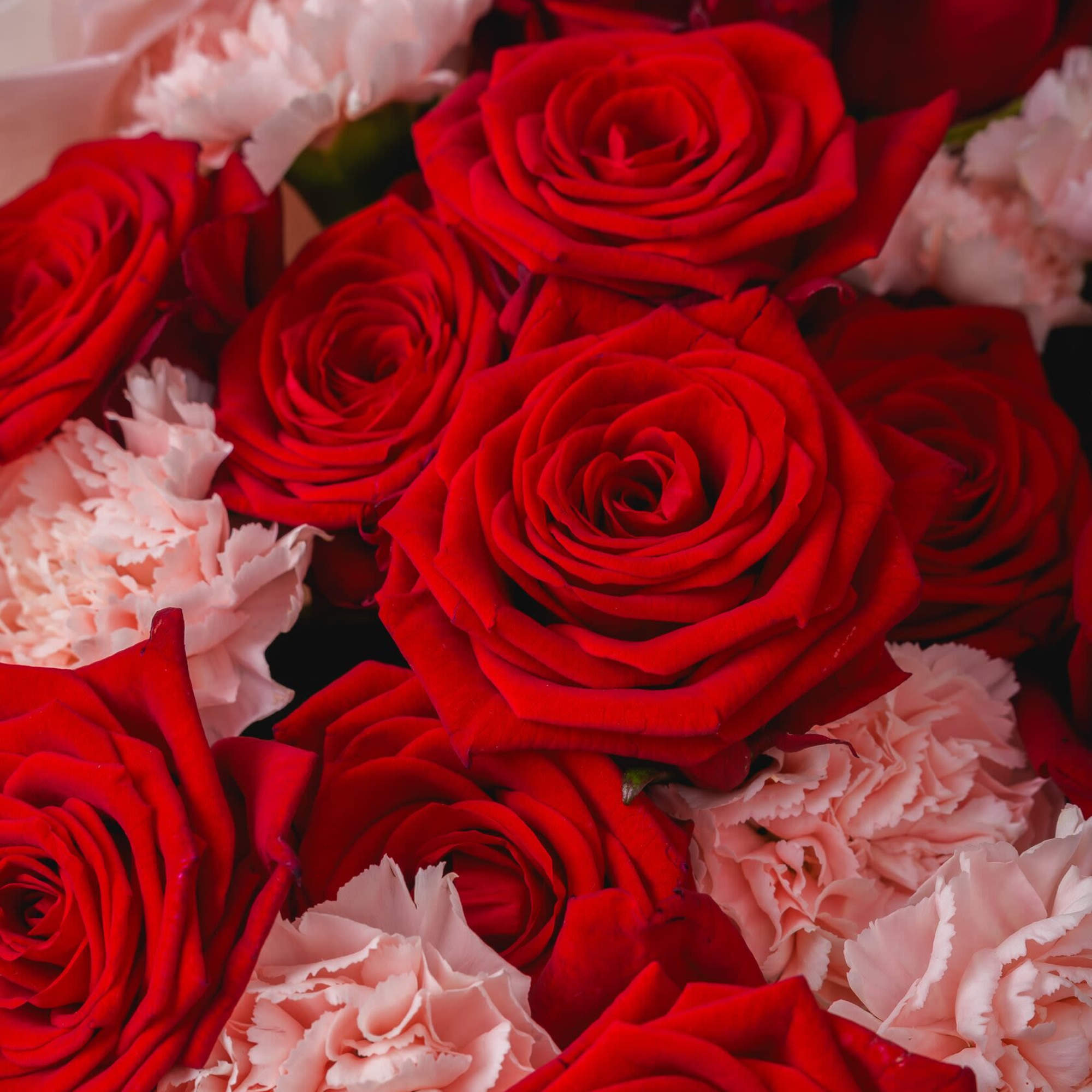 Bouquet of Red Roses with Pink Carnations.