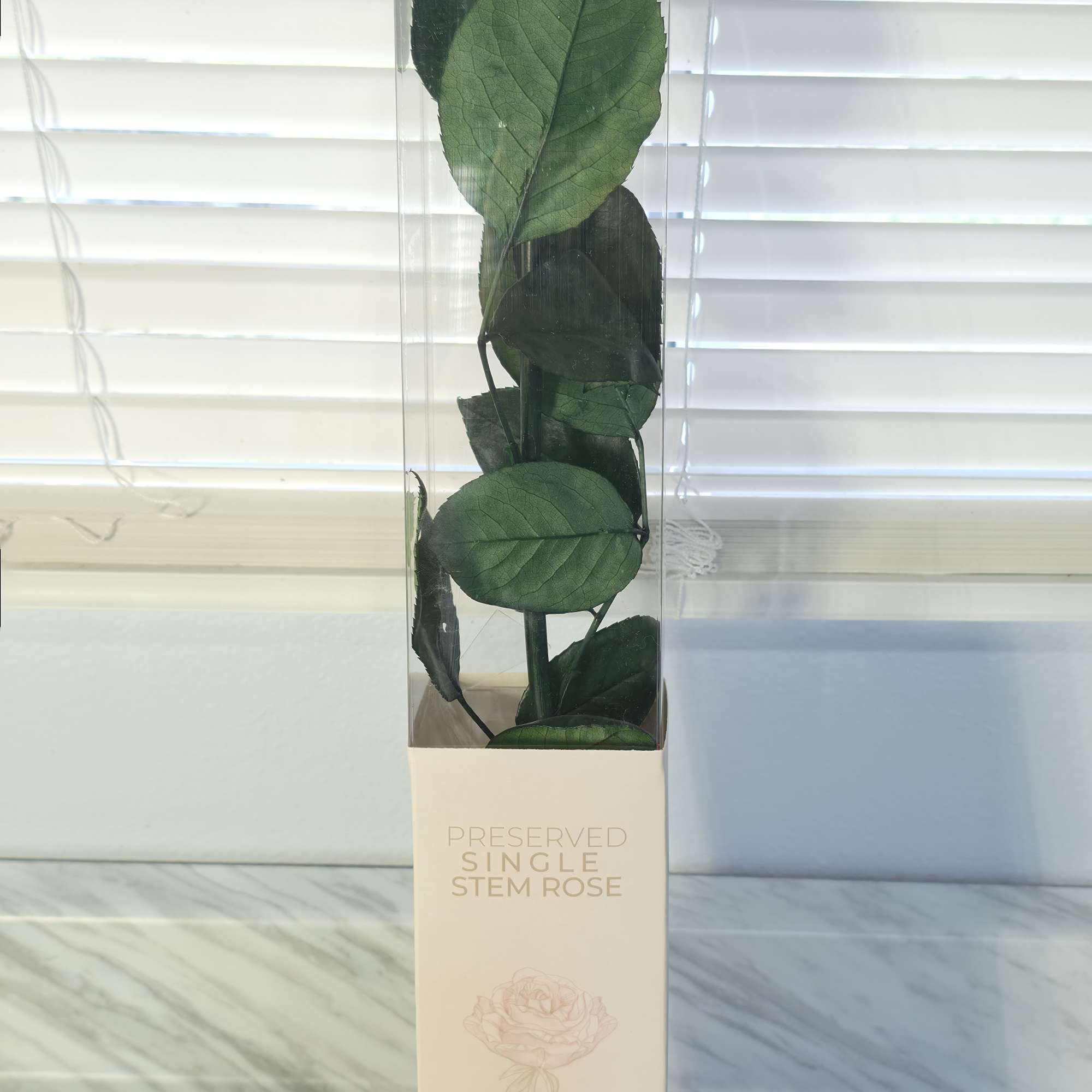 Invoke the beauty of nature, with a Single Stem Preserved Red Rose