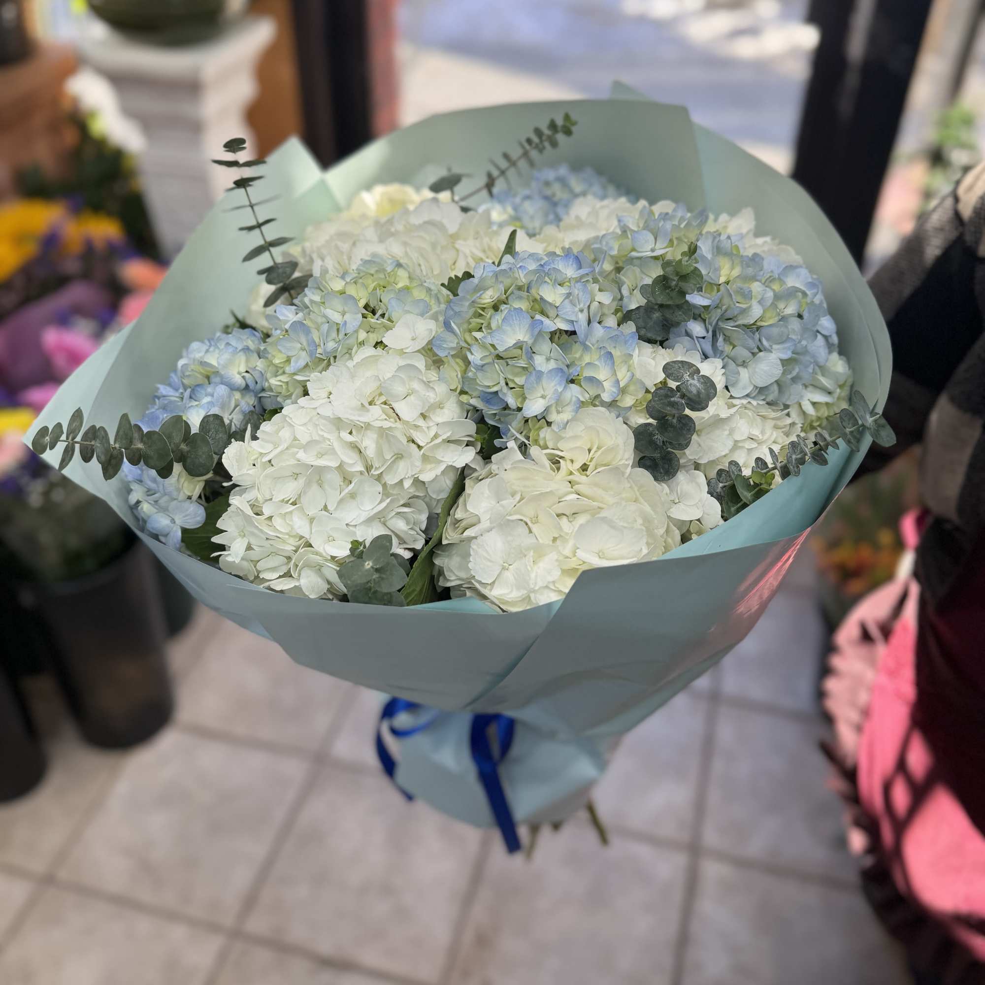 A serene blend of powder-blue and creamy white hydrangeas accented with fresh