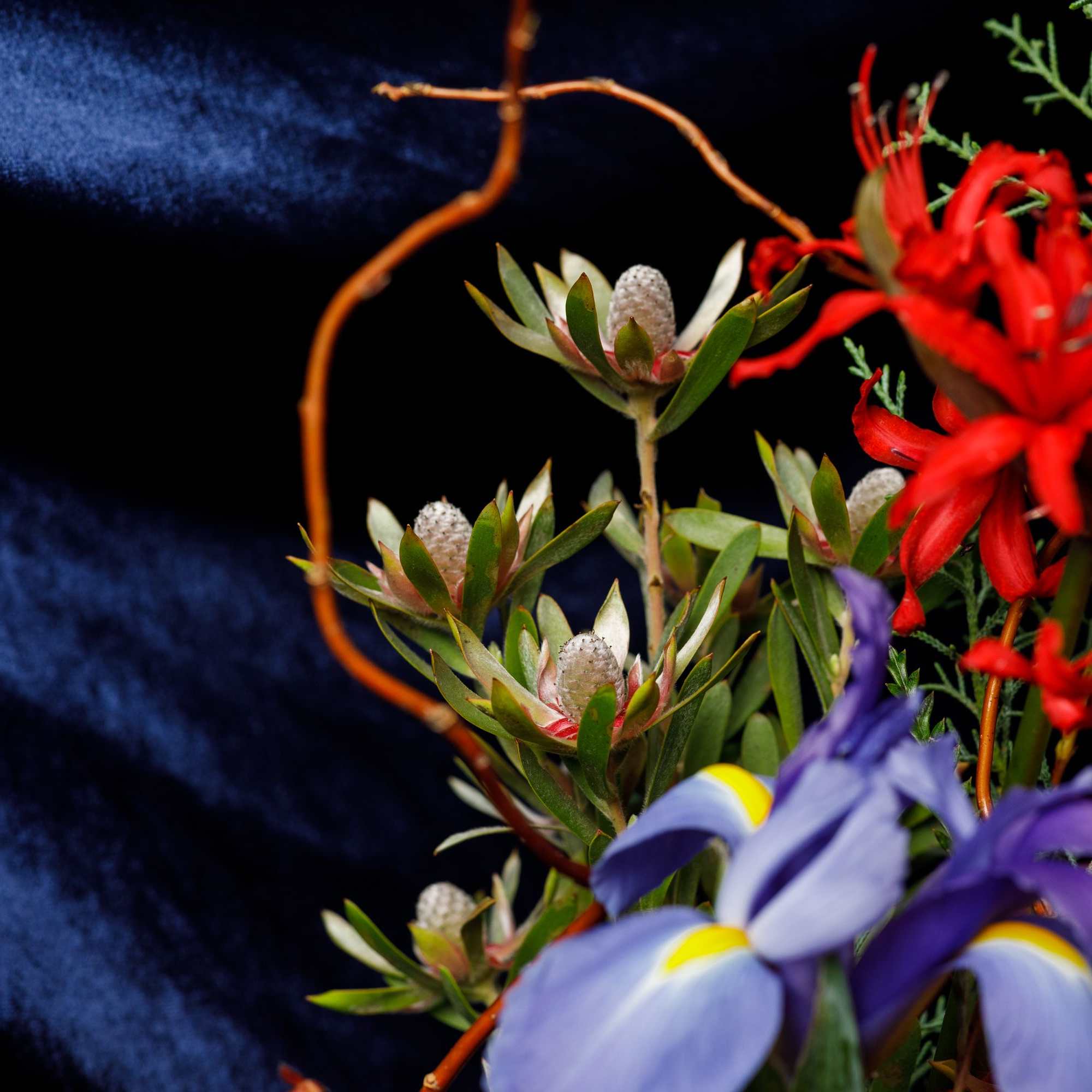 &ldquo;The Halsey&rdquo; is our medium, low &amp; lush, floral arrangement created in