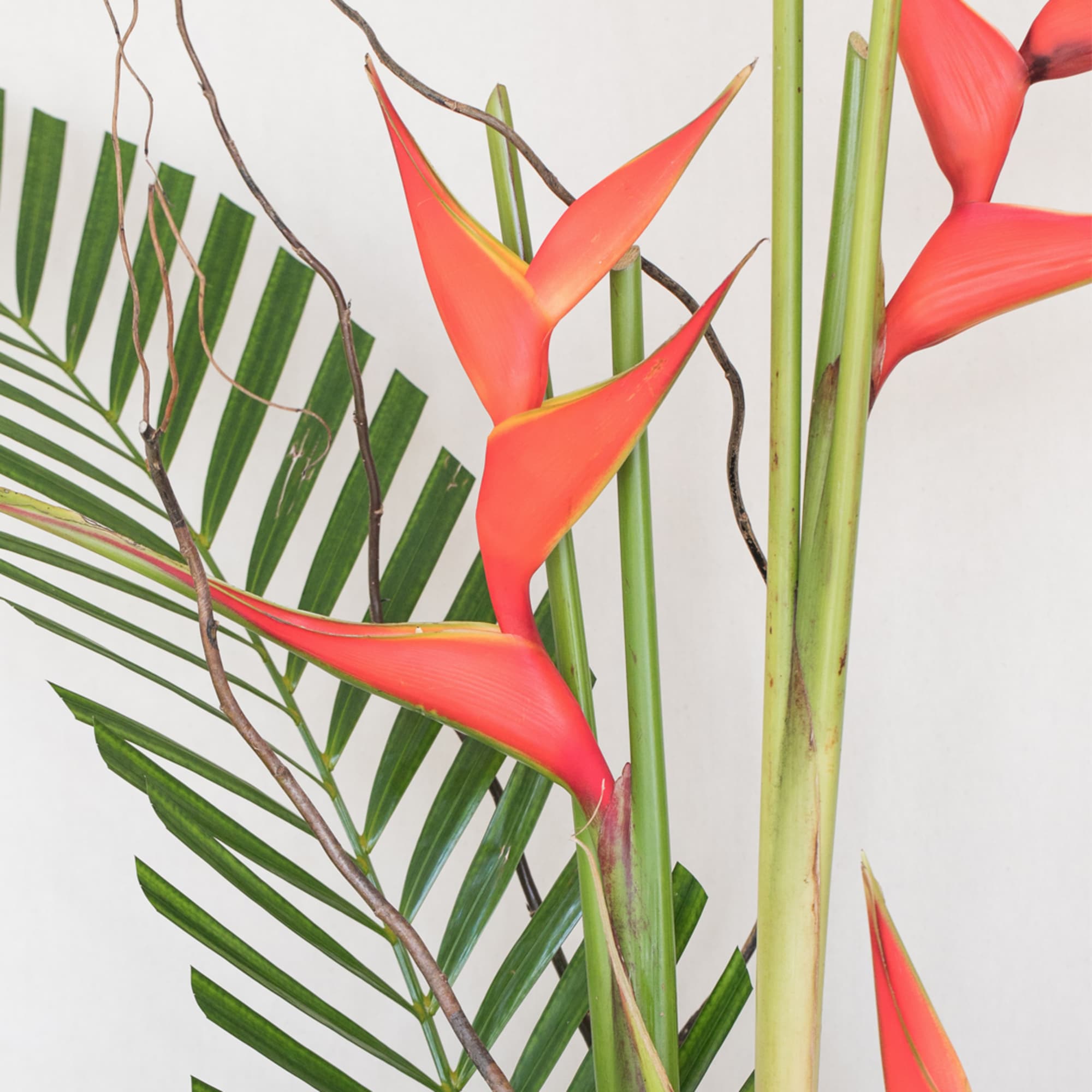 Approximately 39"H x 36"W. This versatile piece is perfect for lobby displays