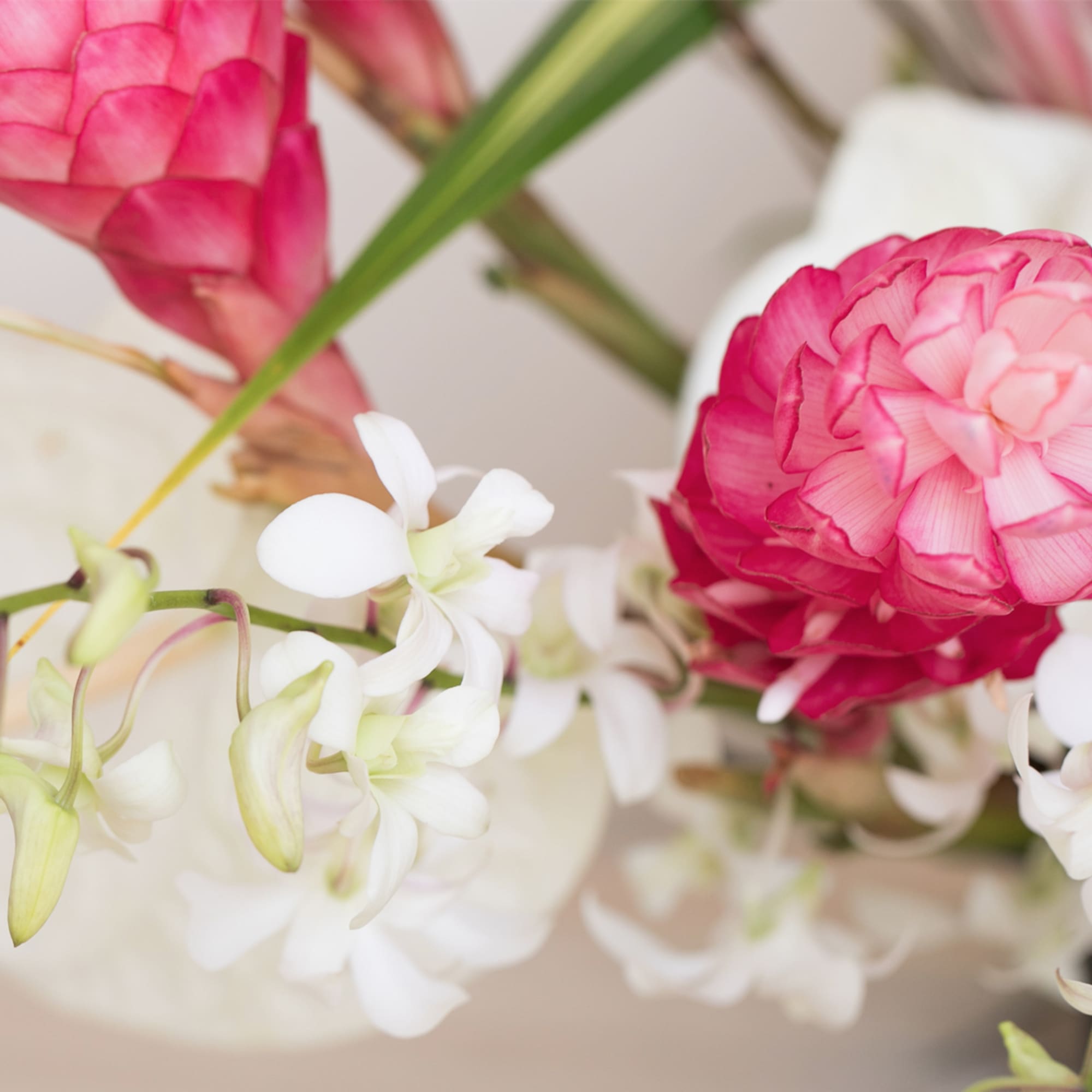 Trendy and Fun, this arrangement features exotic tropical flowers that exude elegance