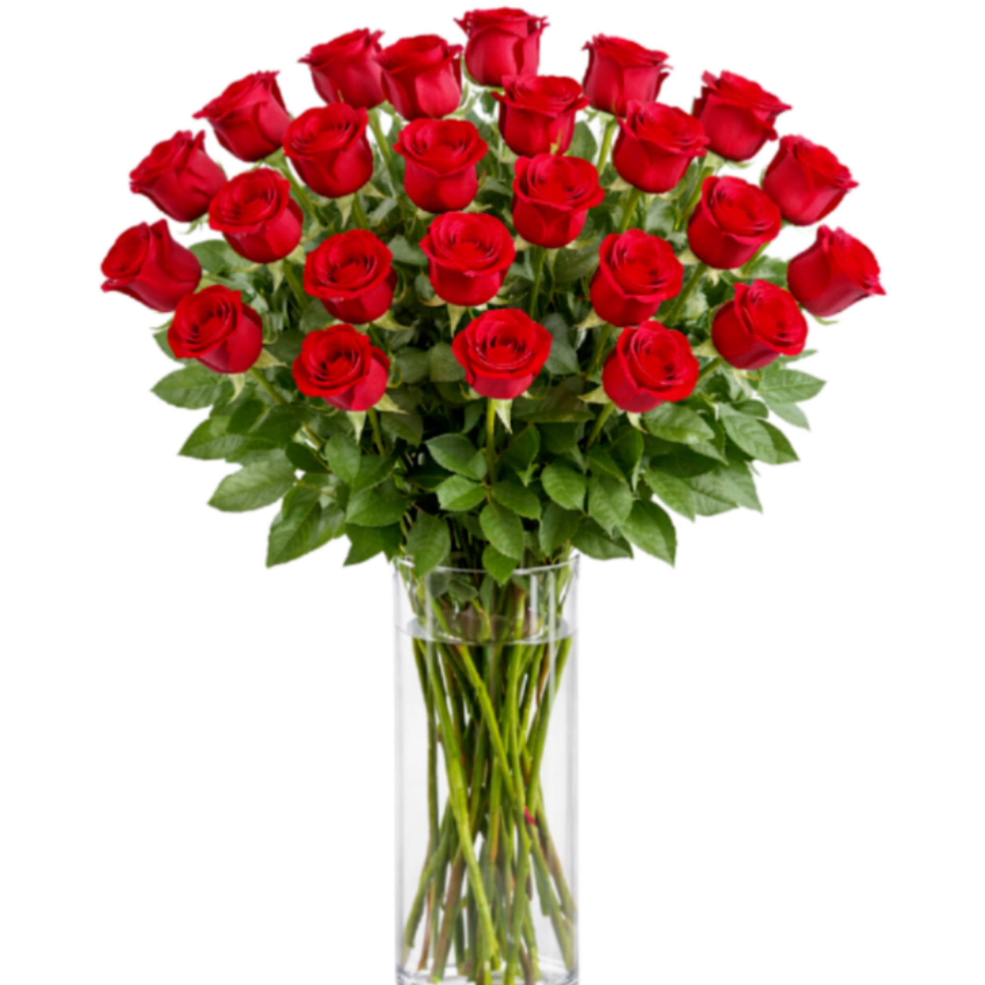 These two dozen red roses provides the classic romantic gift. It's perfect