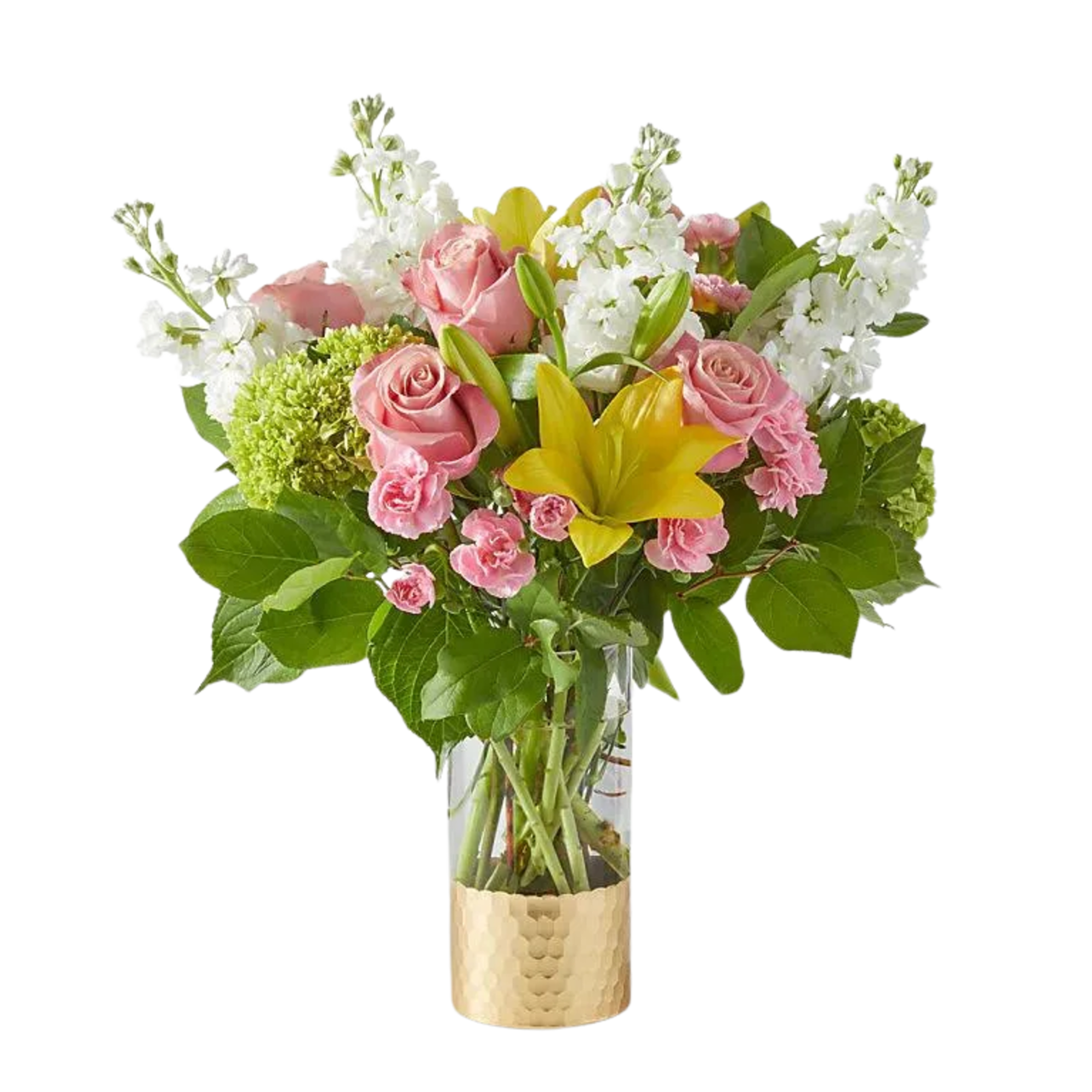 Spring your senses into a fresh, blooming garden with our Garden Delight