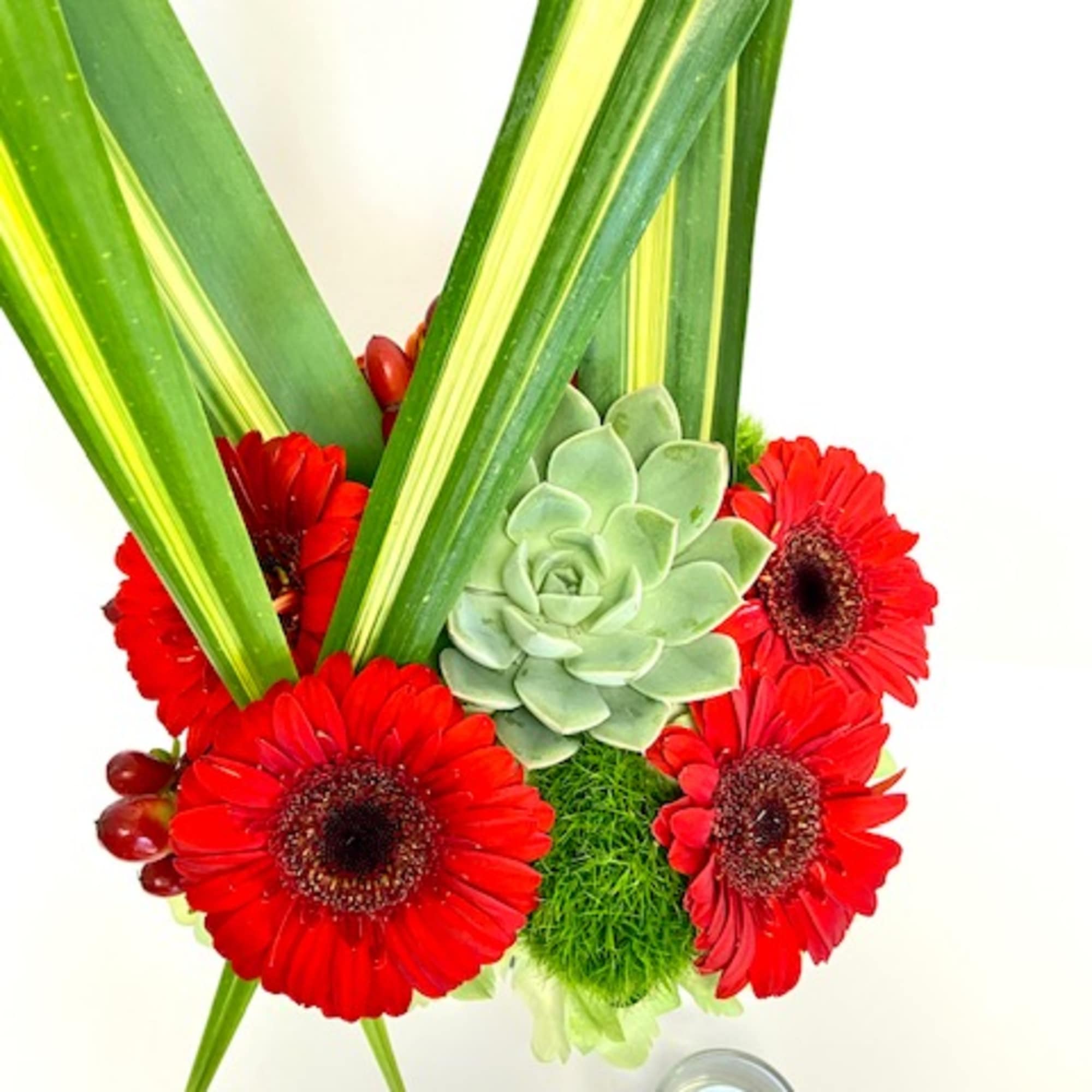 Dynamic lines, vibrant colors, bold contrast! Talk about a stand-out design with