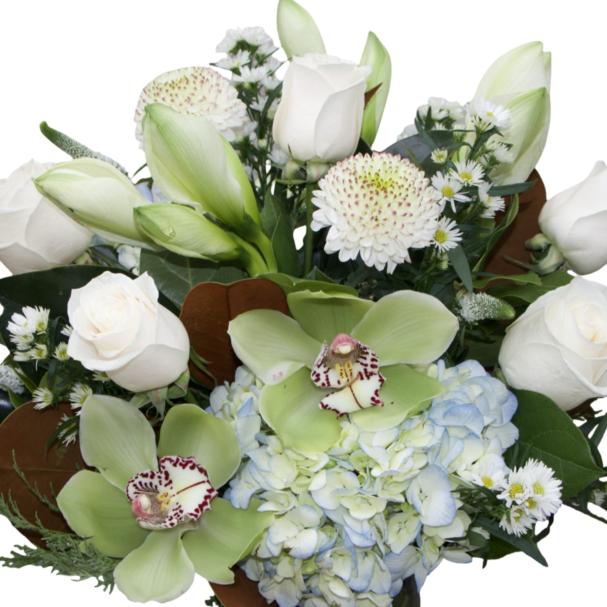 A serene winter arrangement featuring crisp white roses, soft blue hydrangea, elegant