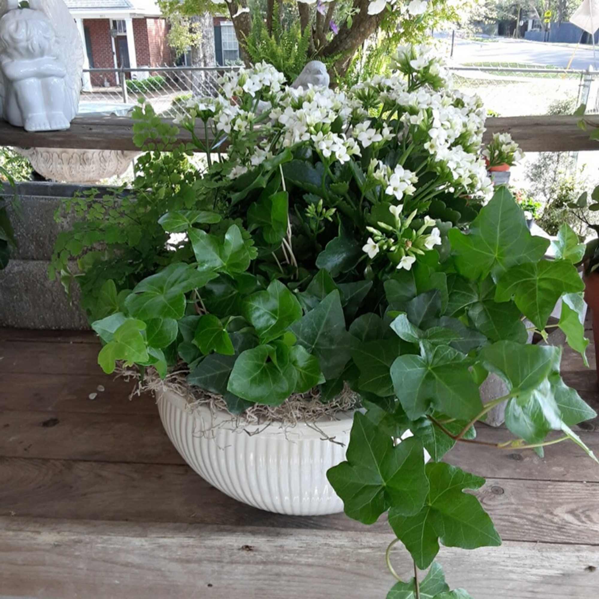 Blooming and foliage plants thrive in this decorative stoneware planter, creating an