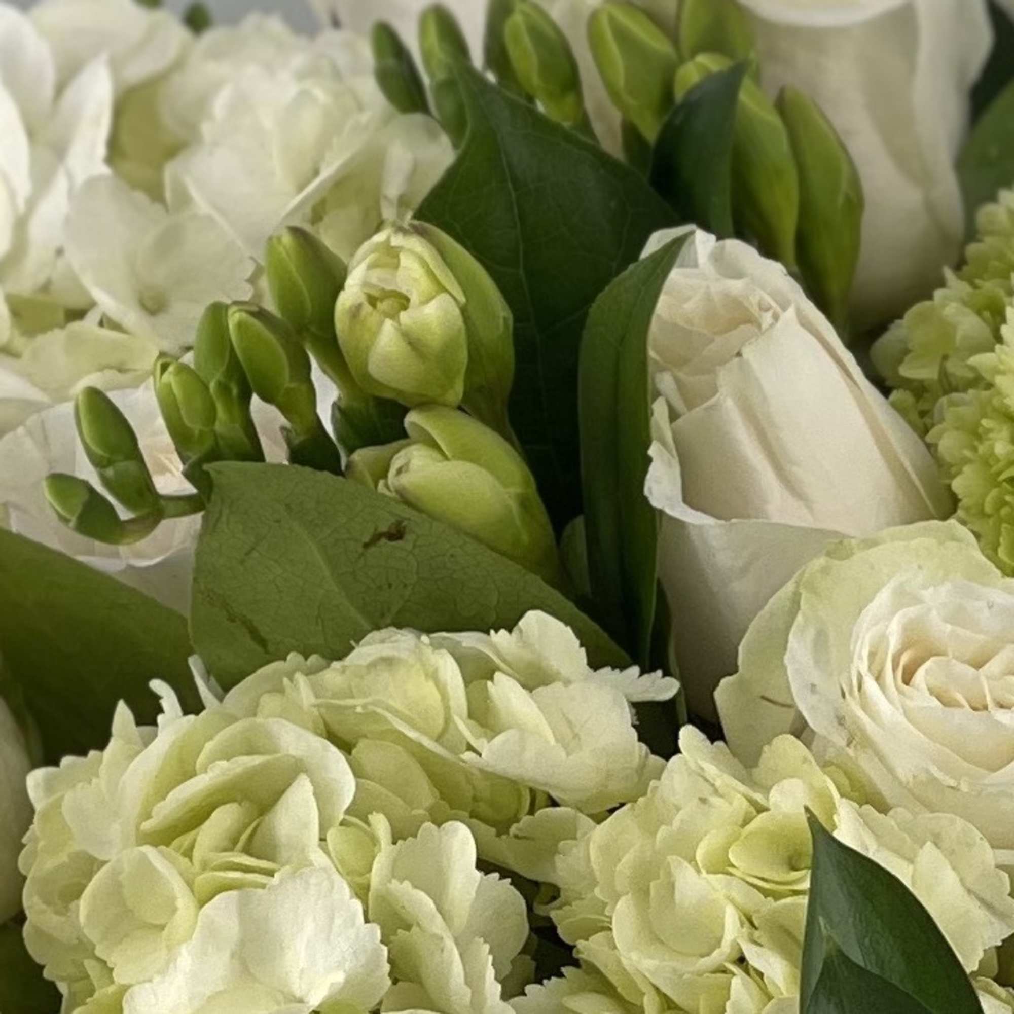This timeless arrangement is filled with beautiful white blooms such Roses, Hydrangea