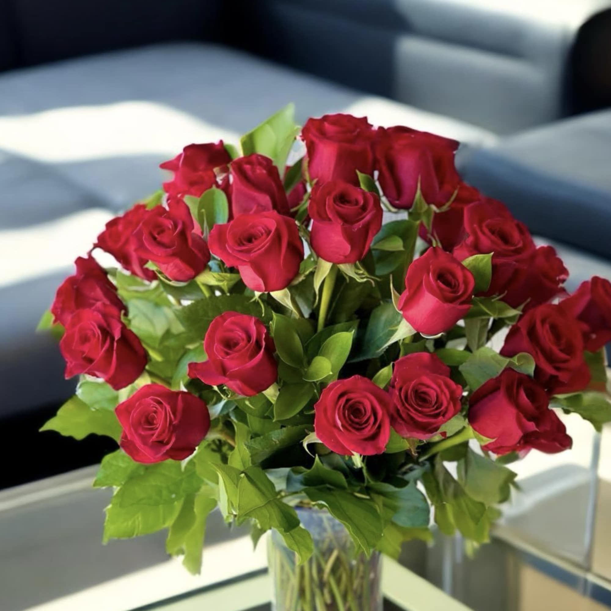  Dozen Red Roses &ndash; Classic Valentine&rsquo;s Day Flower Delivery in 