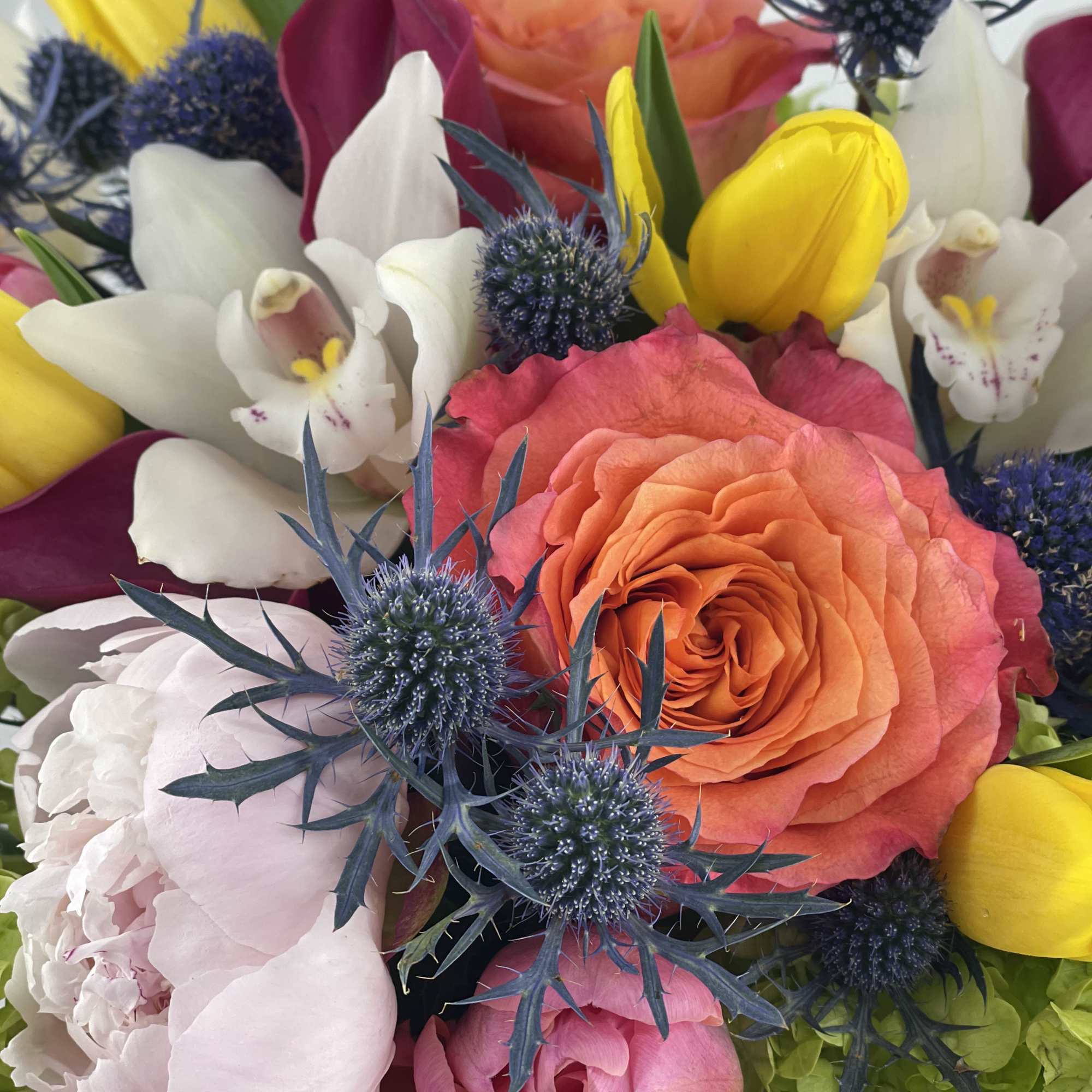 Eden, the very origin of botanical beauty. This arrangement captures the lush