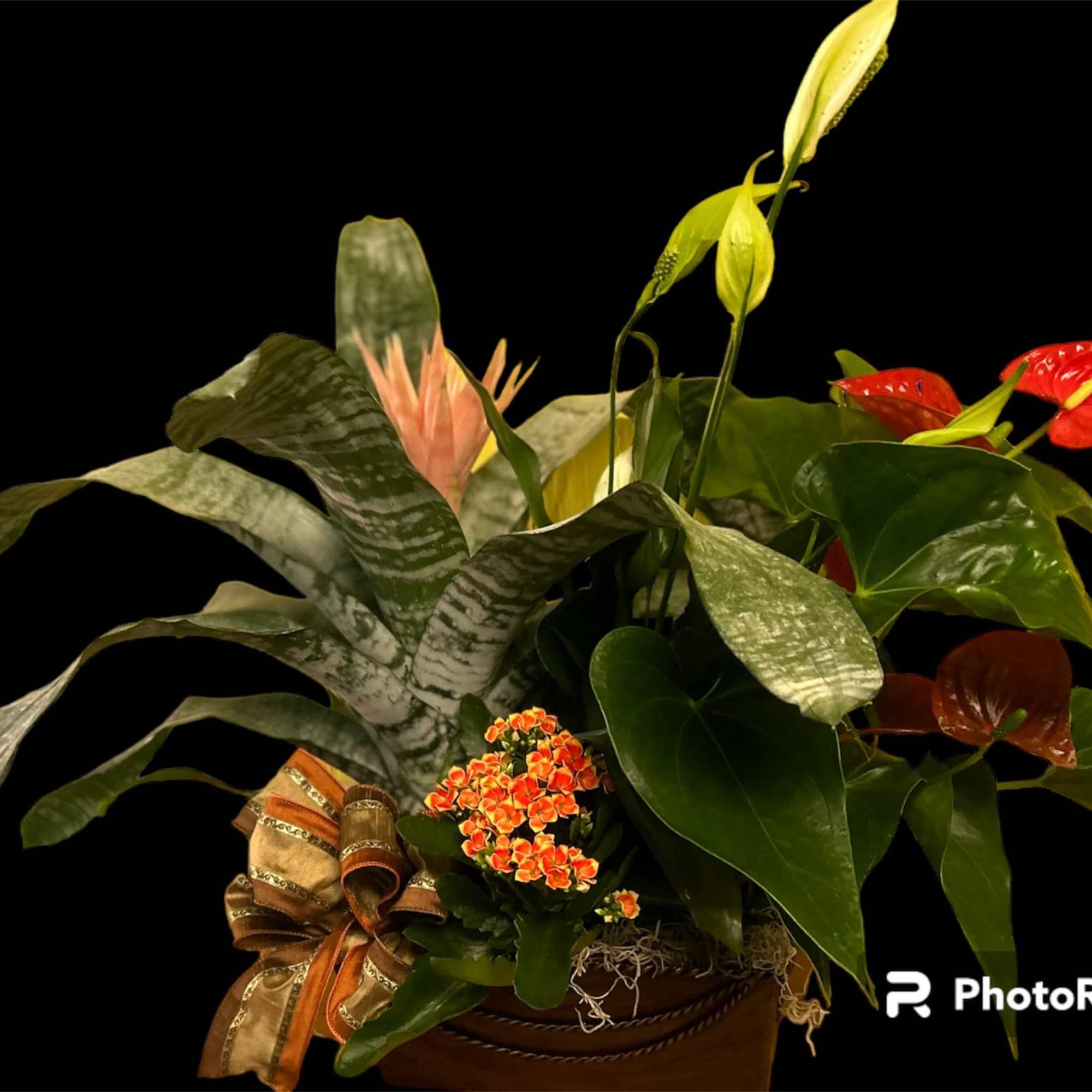 BRINGING A LITTLE SUNSHINE INSIDE!!