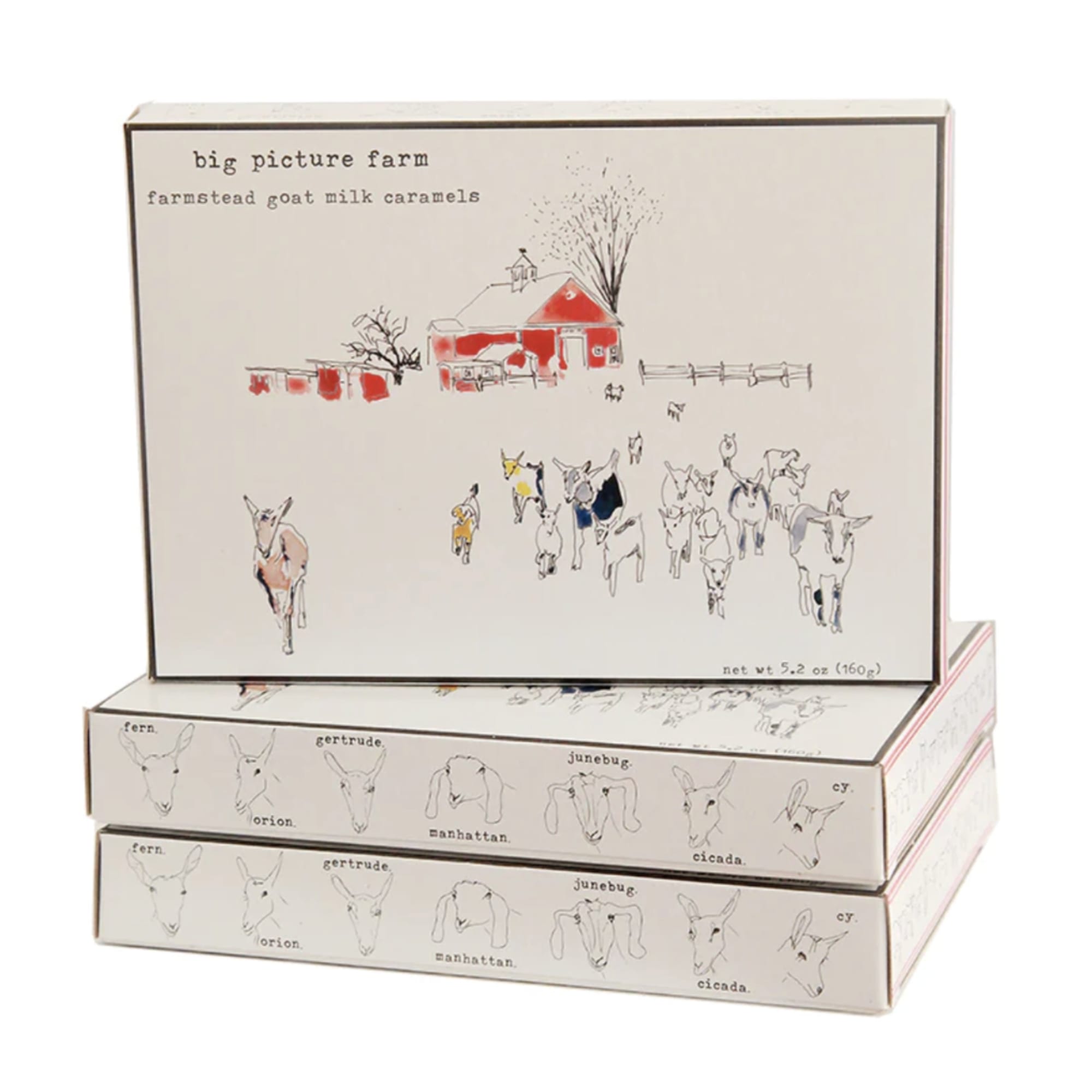 20 caramels in this new gift box from Big Picture Farm. It