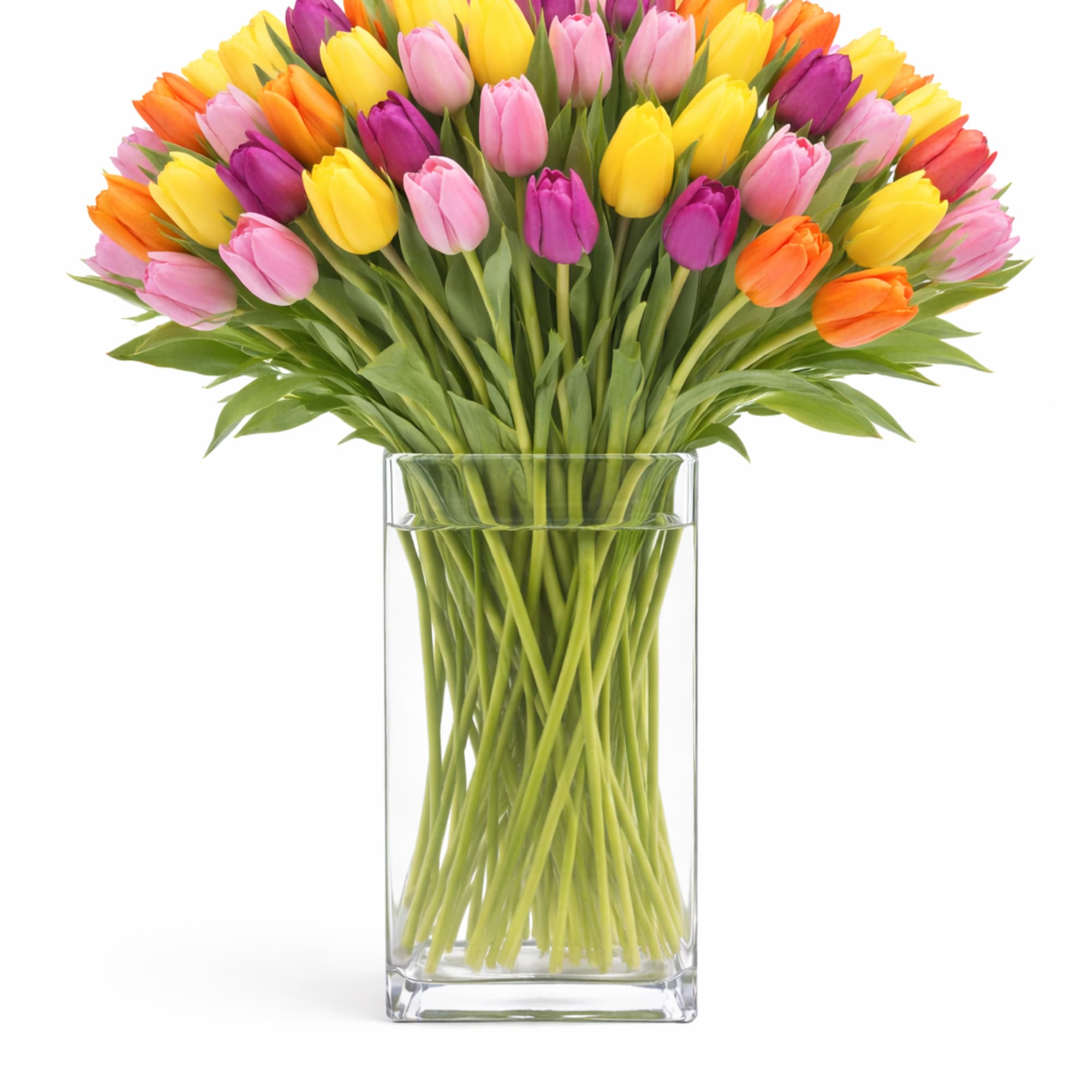 Send a selection of tulips to somebody you have unconditional love for!