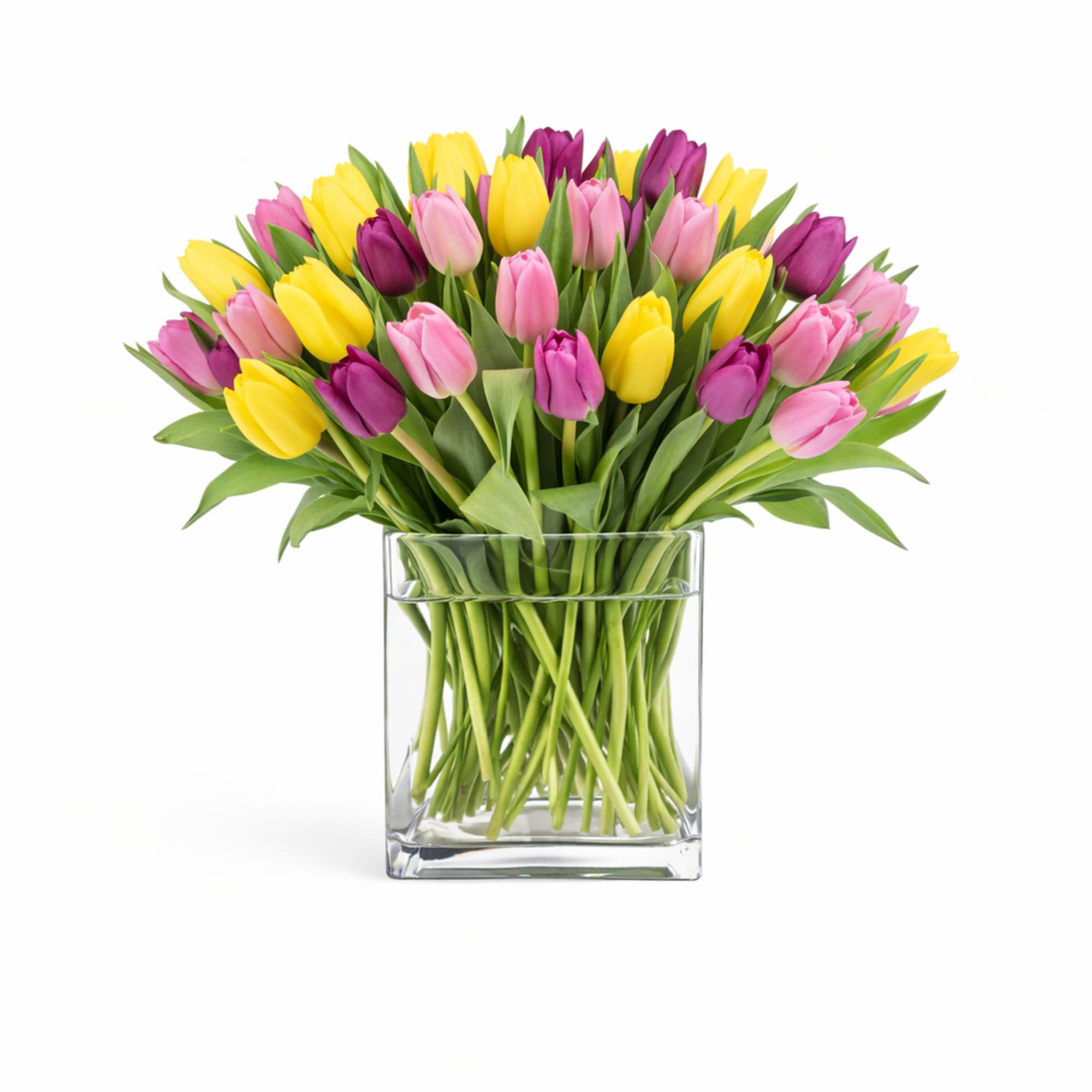 Send a selection of tulips to somebody you have unconditional love for!