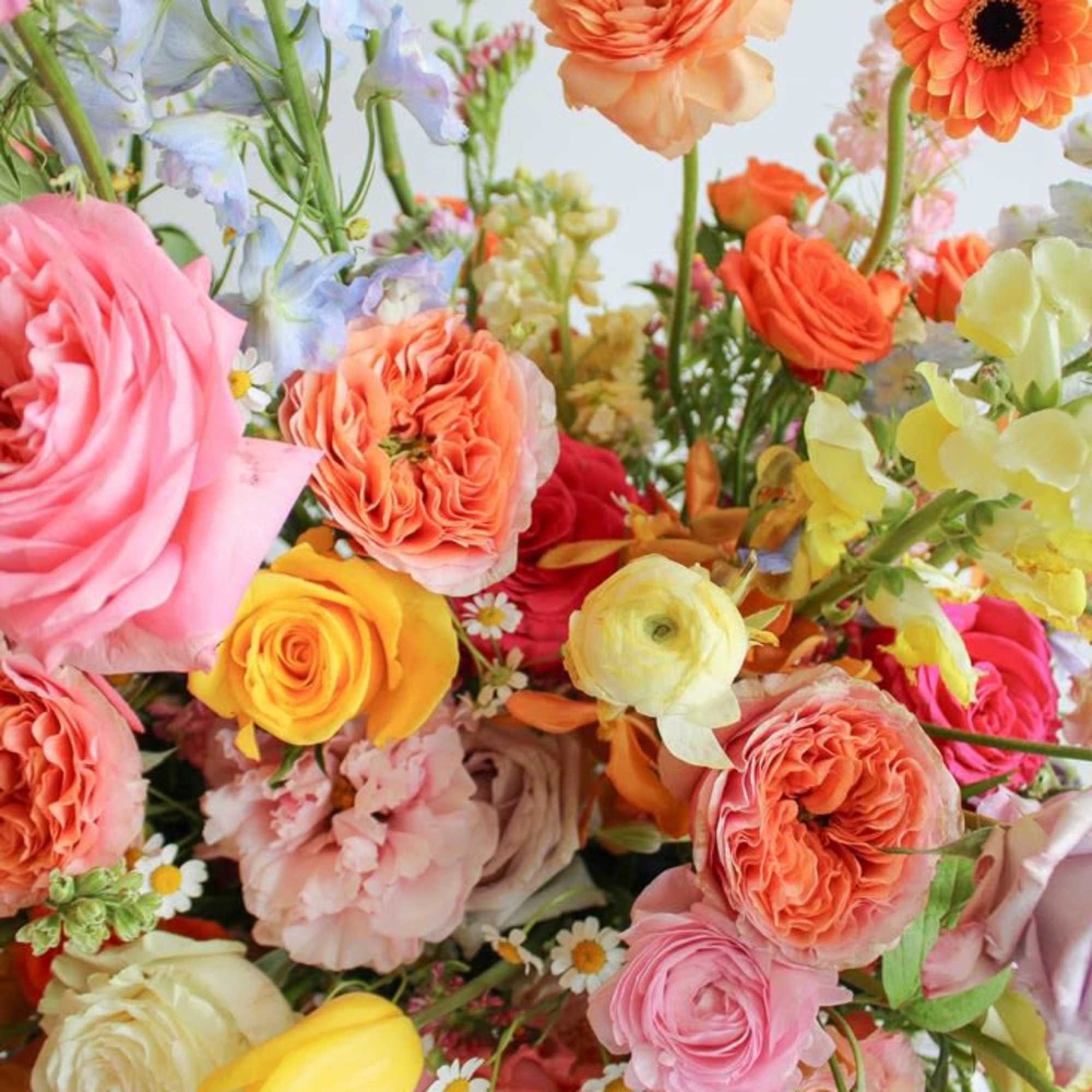 Our freshest and finest selection of premium florals designed by the Newport