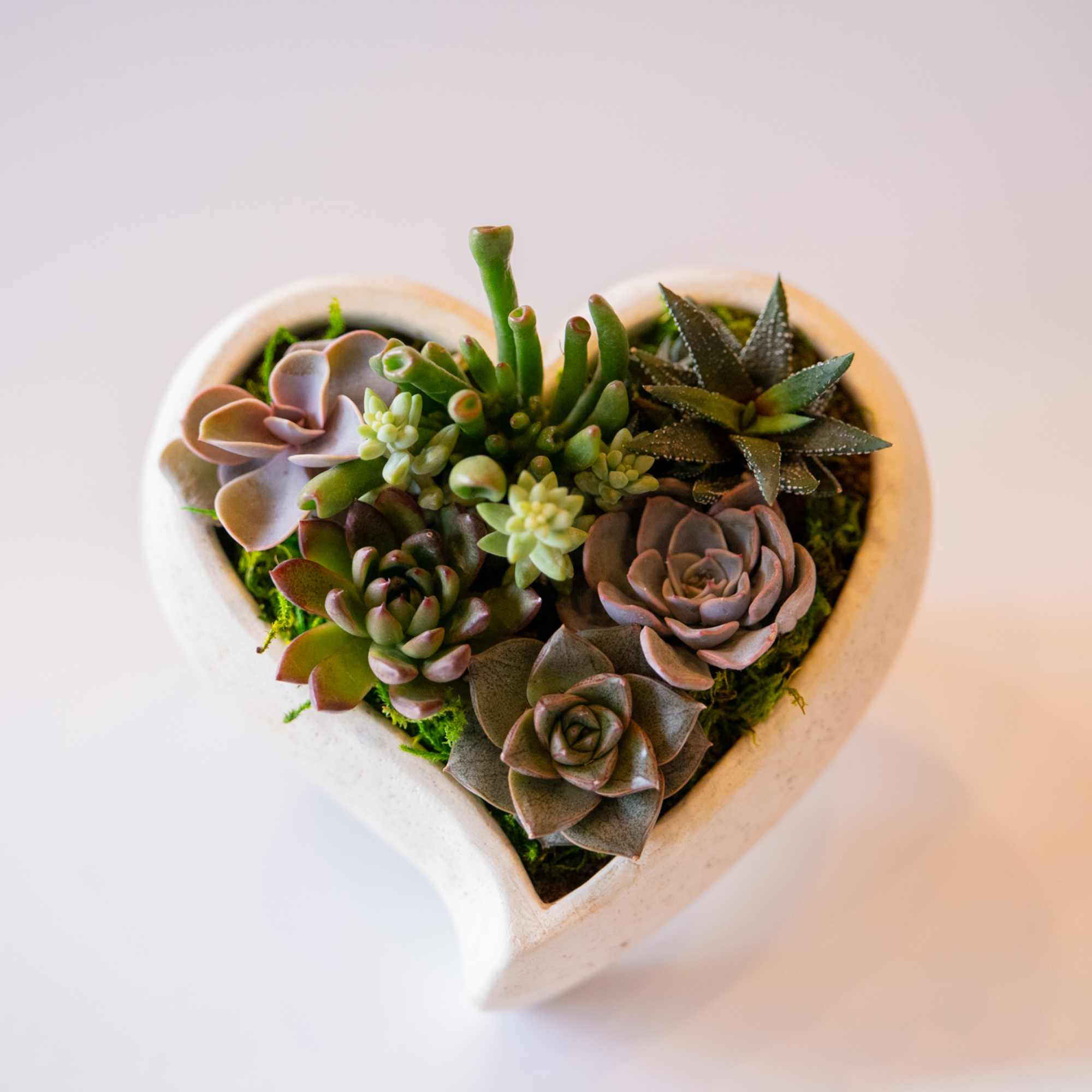 Succulent Garden is a ceramic heart shaped container