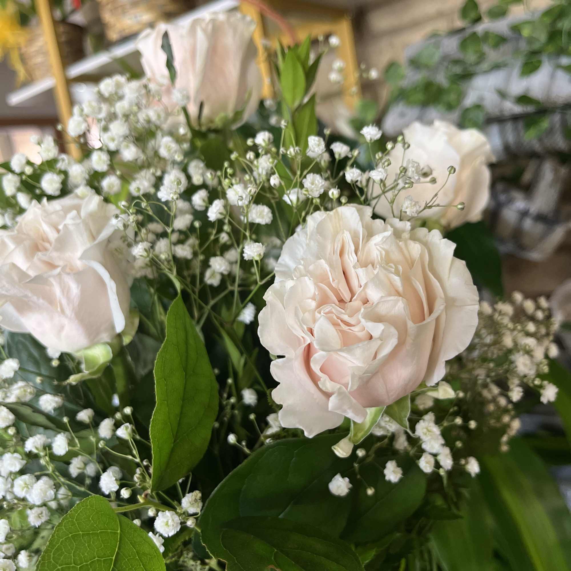  6 white roses in vase with greenery and baby breath 