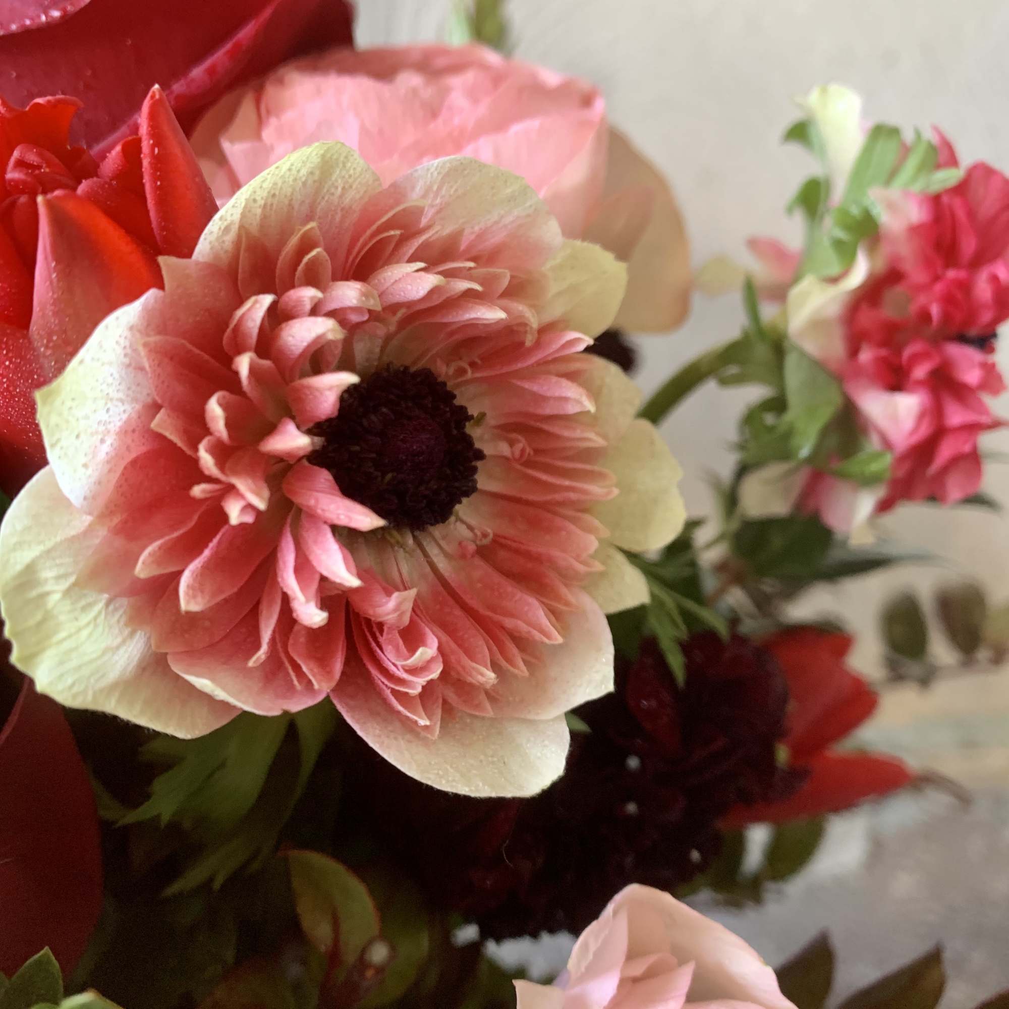 Tell a special woman in your life &ldquo;I love you&rdquo; with this