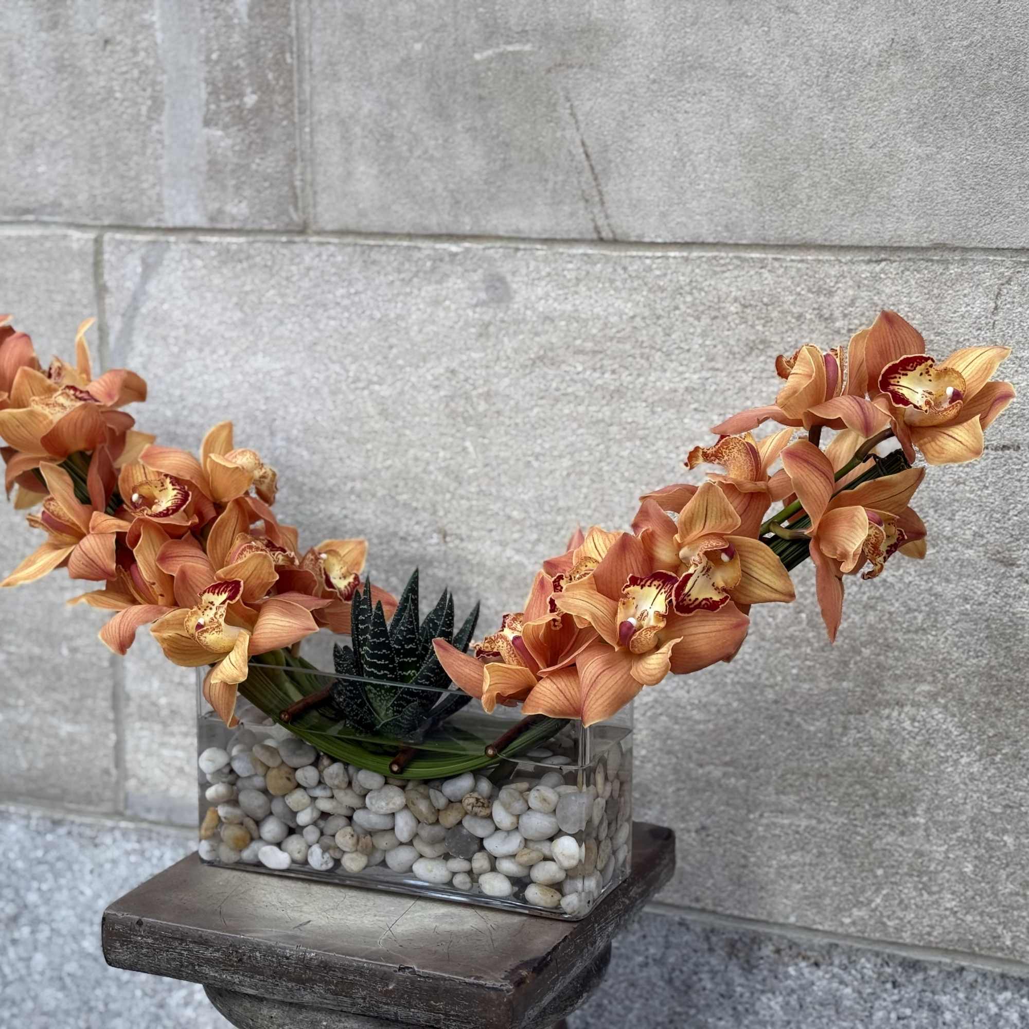 Picture this: cymbidium orchids popping out of the ocean like they just