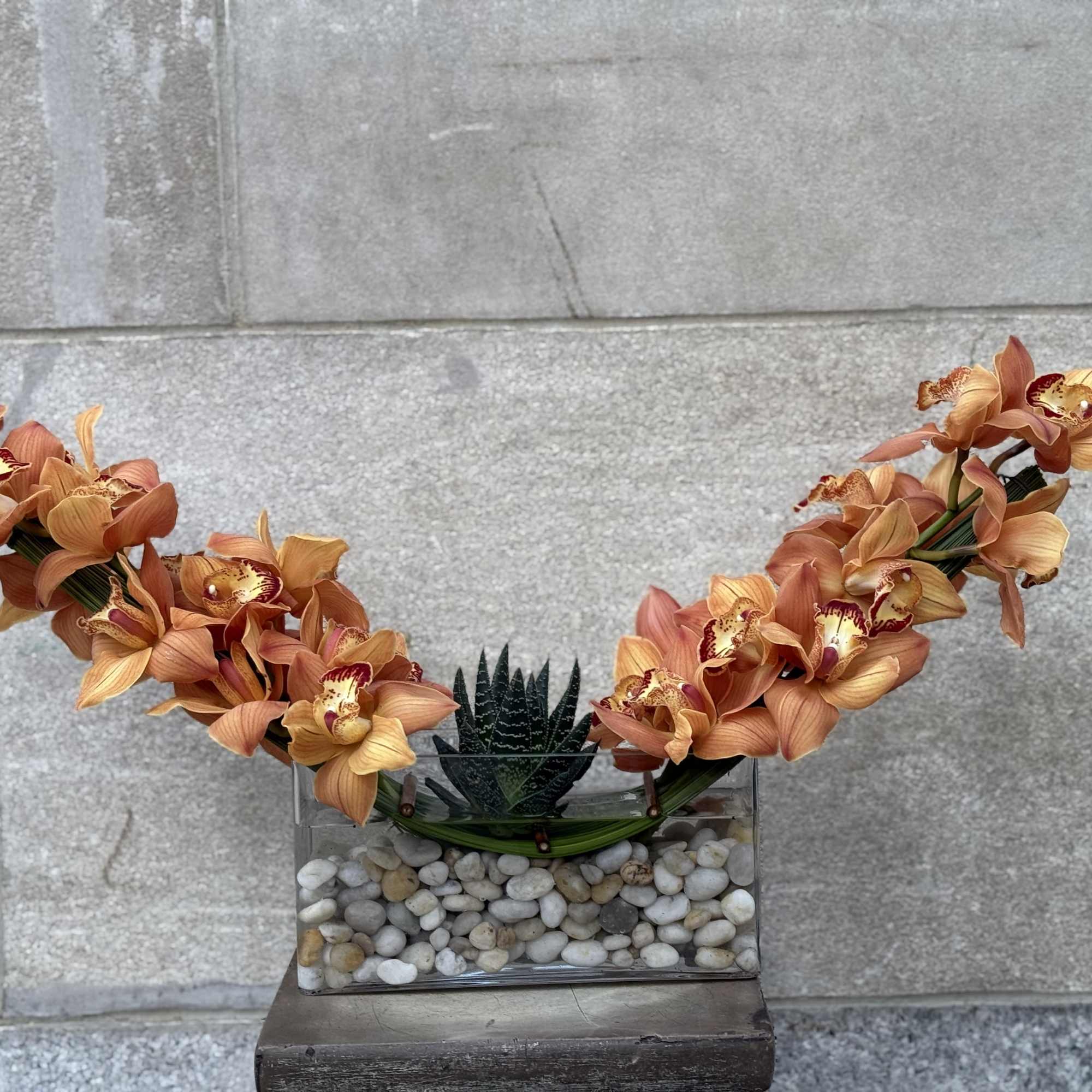 Picture this: cymbidium orchids popping out of the ocean like they just