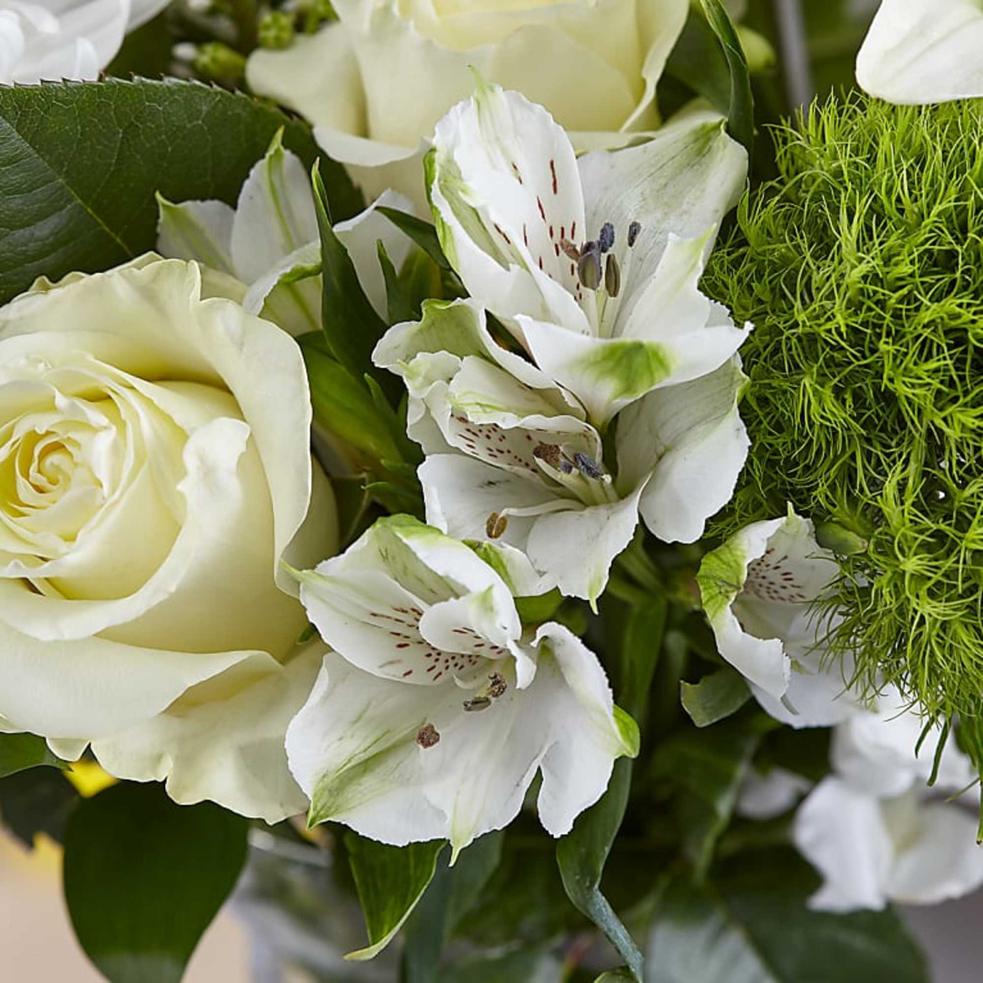 This arrangement a true symbol of luxury for all occasions.
Crystal Clear Glass