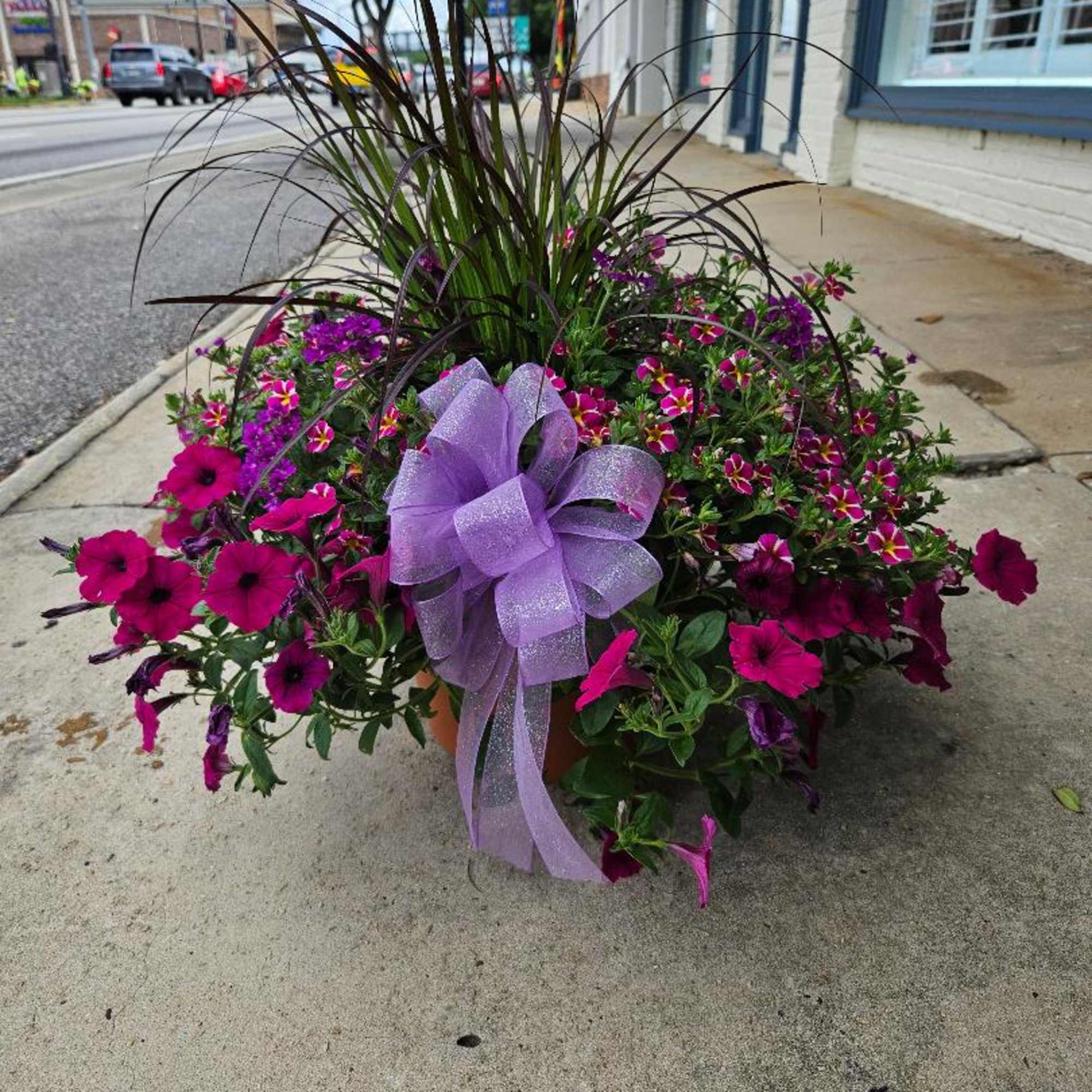 Beautiful mix of blooming plants it terracotta Colored Pot. Plants and colors