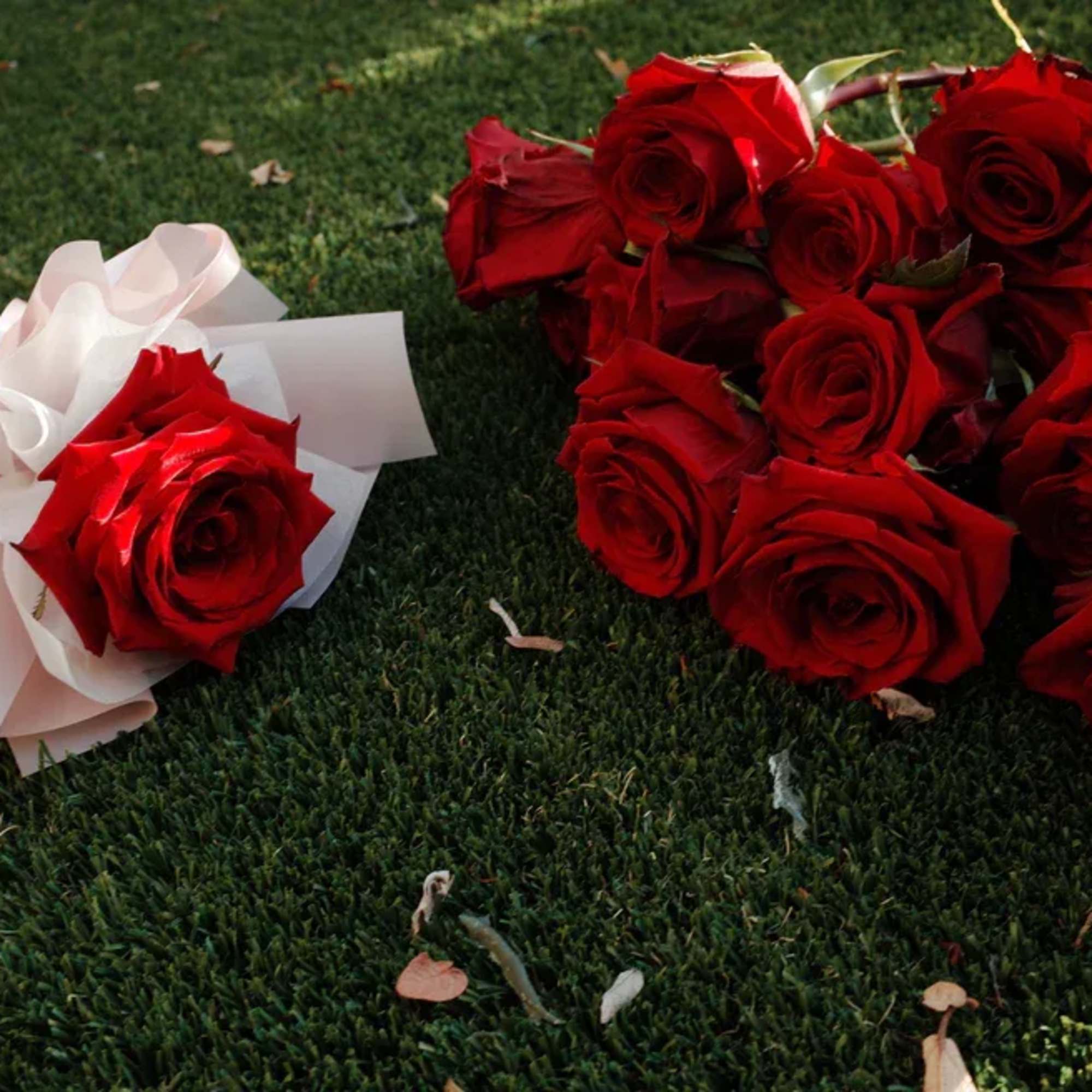 A timeless gesture wrapped in elegance. This single red rose, cradled in