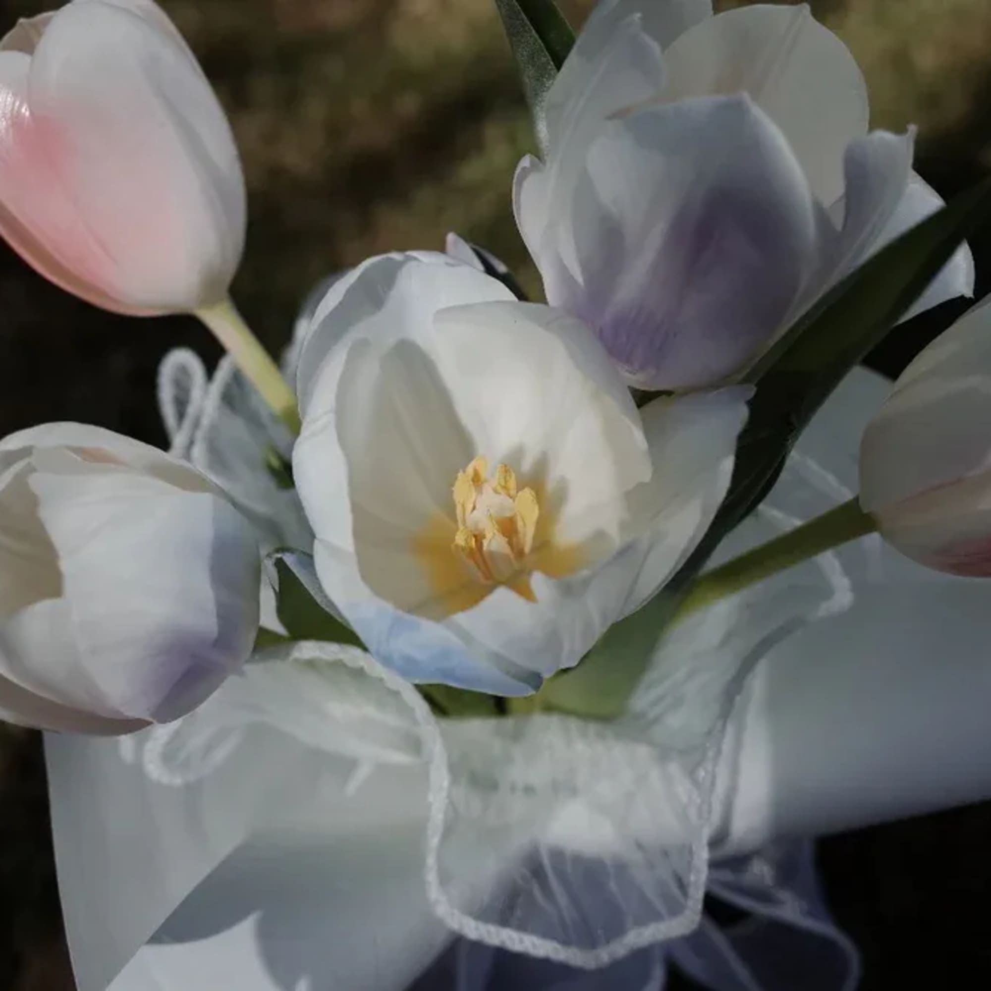 Delicate, graceful, and full of quiet beauty, Whispers of Spring features a