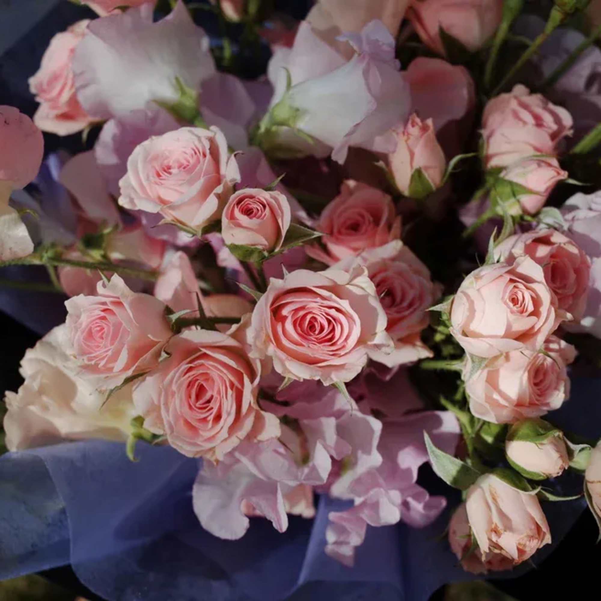 A symphony of soft petals and tender hues, Melody of Love captures