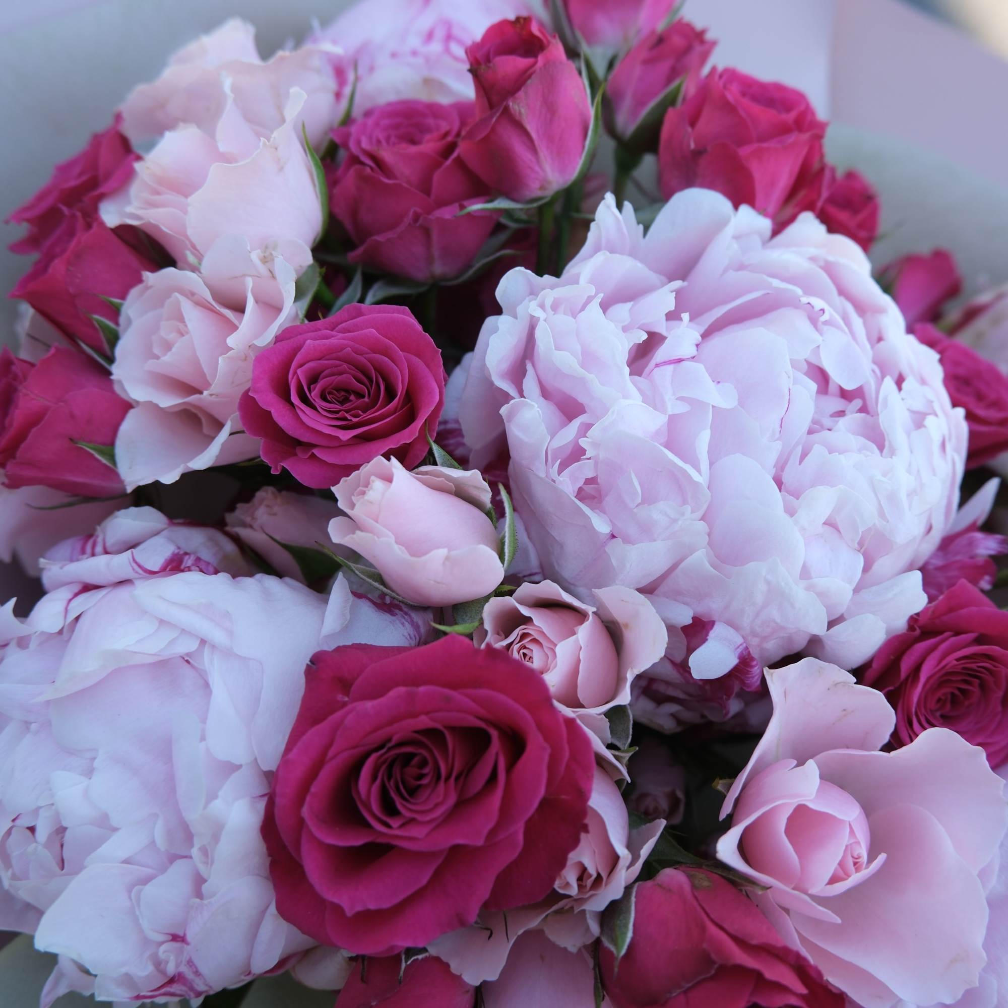 A dreamy mix of peonies and roses, blooming in layers of pink.