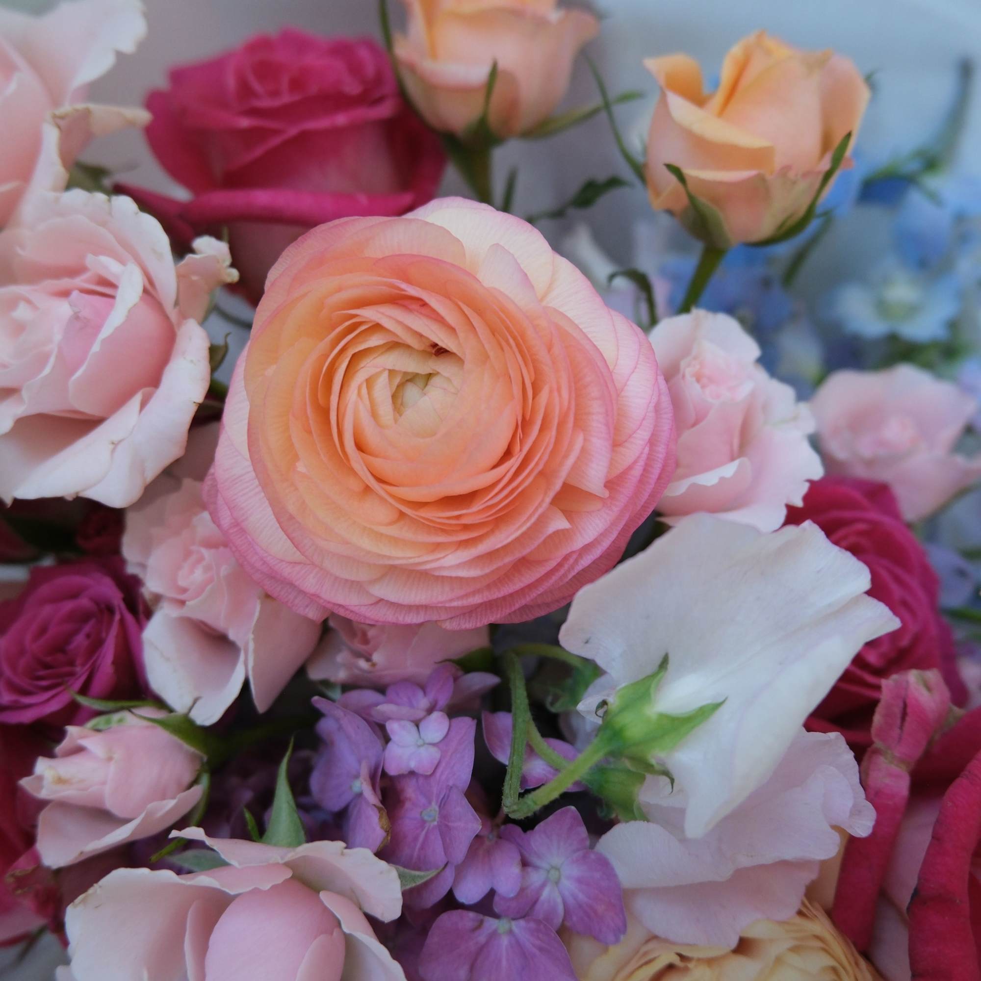 A colorful pastel blend of premium ranunculus and roses, arranged with soft