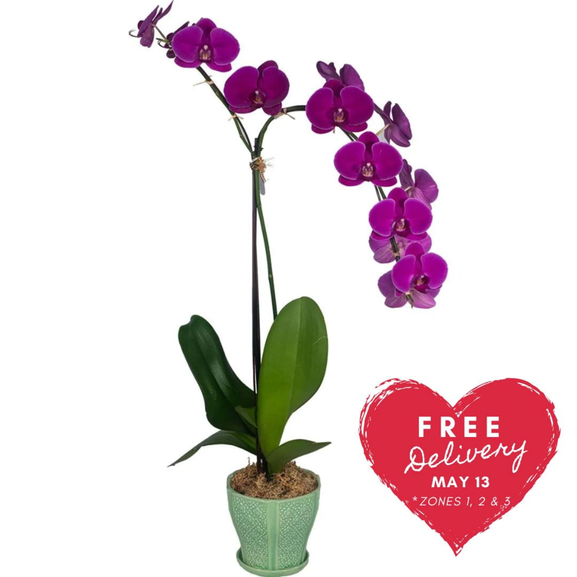 Bring a touch of the Waianae coast into your home or office