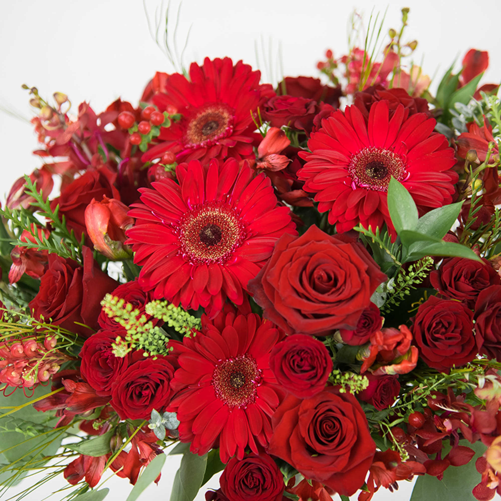 Our Monochromatic Collection: Red is a striking celebration of passion and elegance