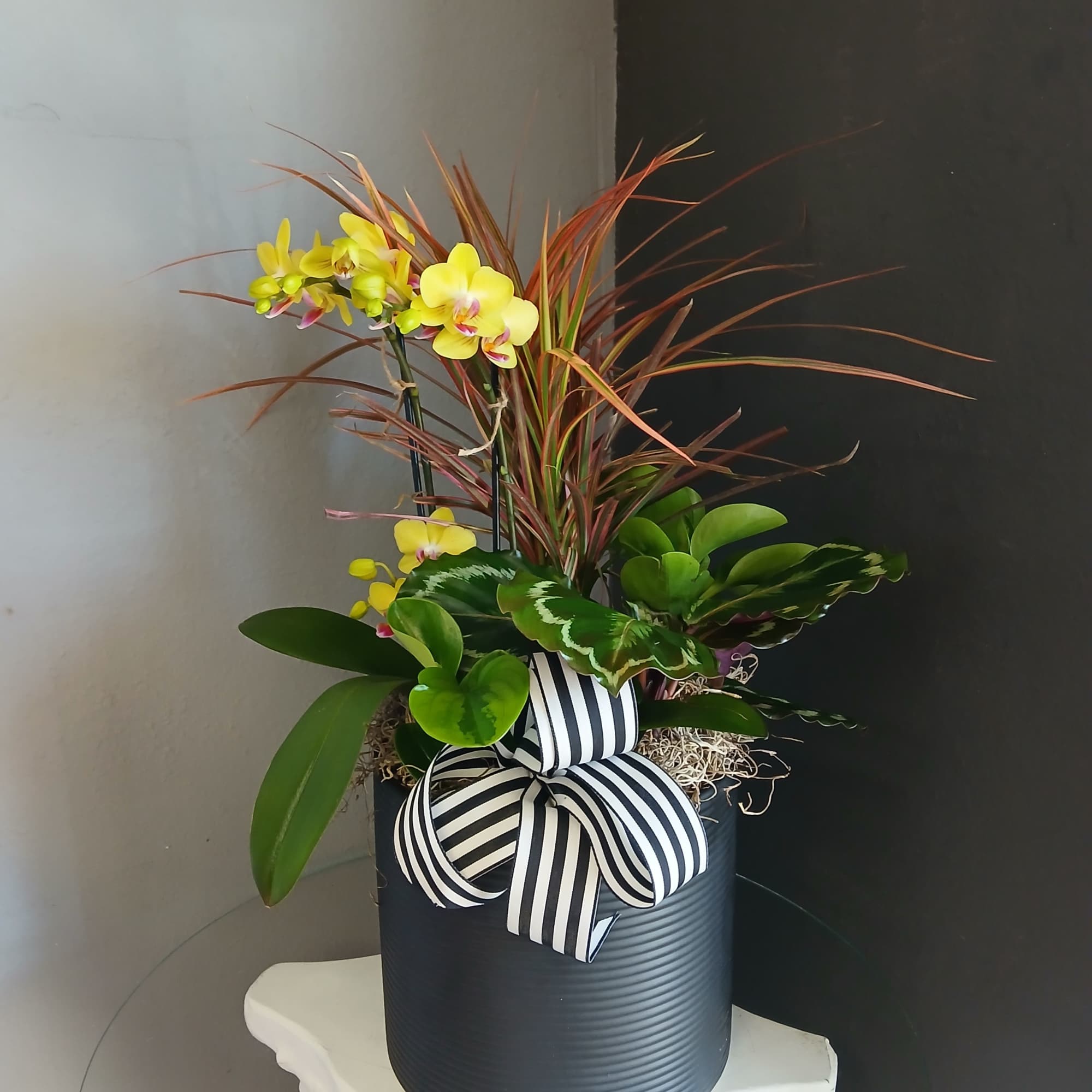 A beautiful mix of non blooming green plants paired with mini yellow