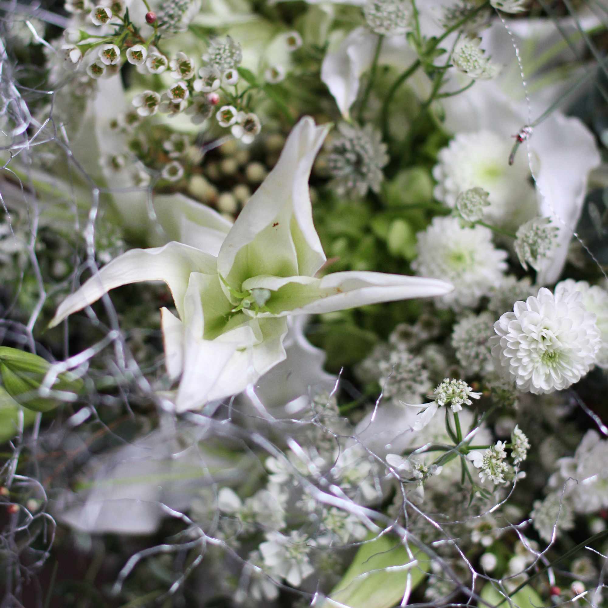 Designer pick seasonal bloom in different shade of Ivory with green create