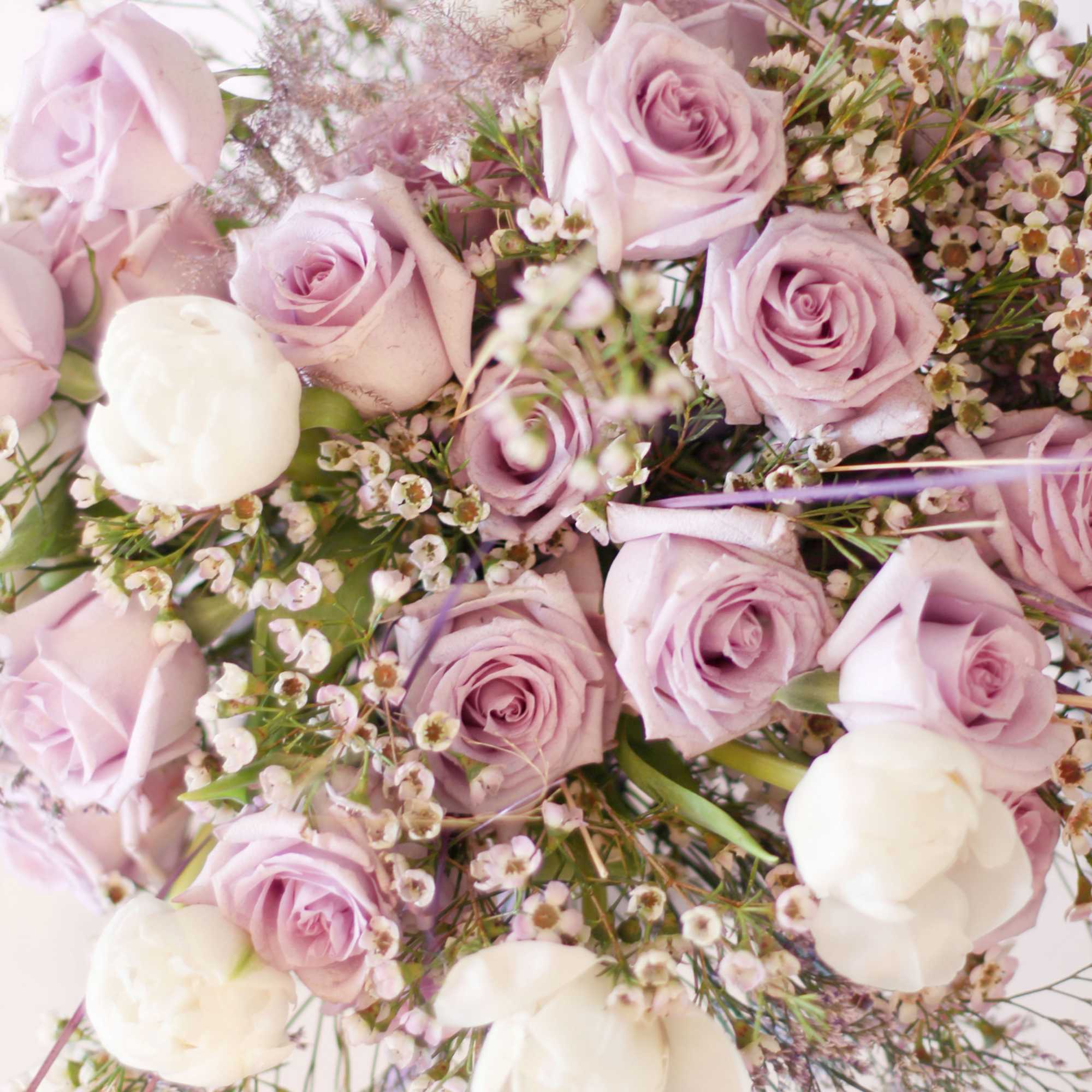 A soft gentle Lavender Ivory color palette create by 2 dozen garden