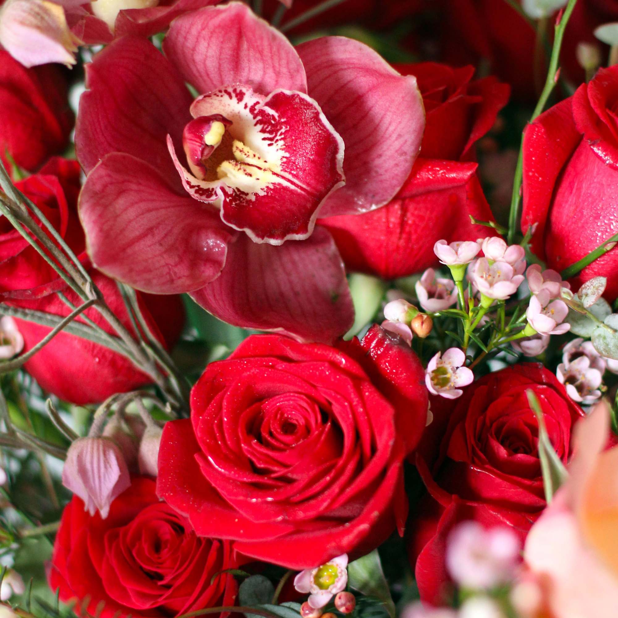 A modern touch of a traditional One &amp; a half dozen red