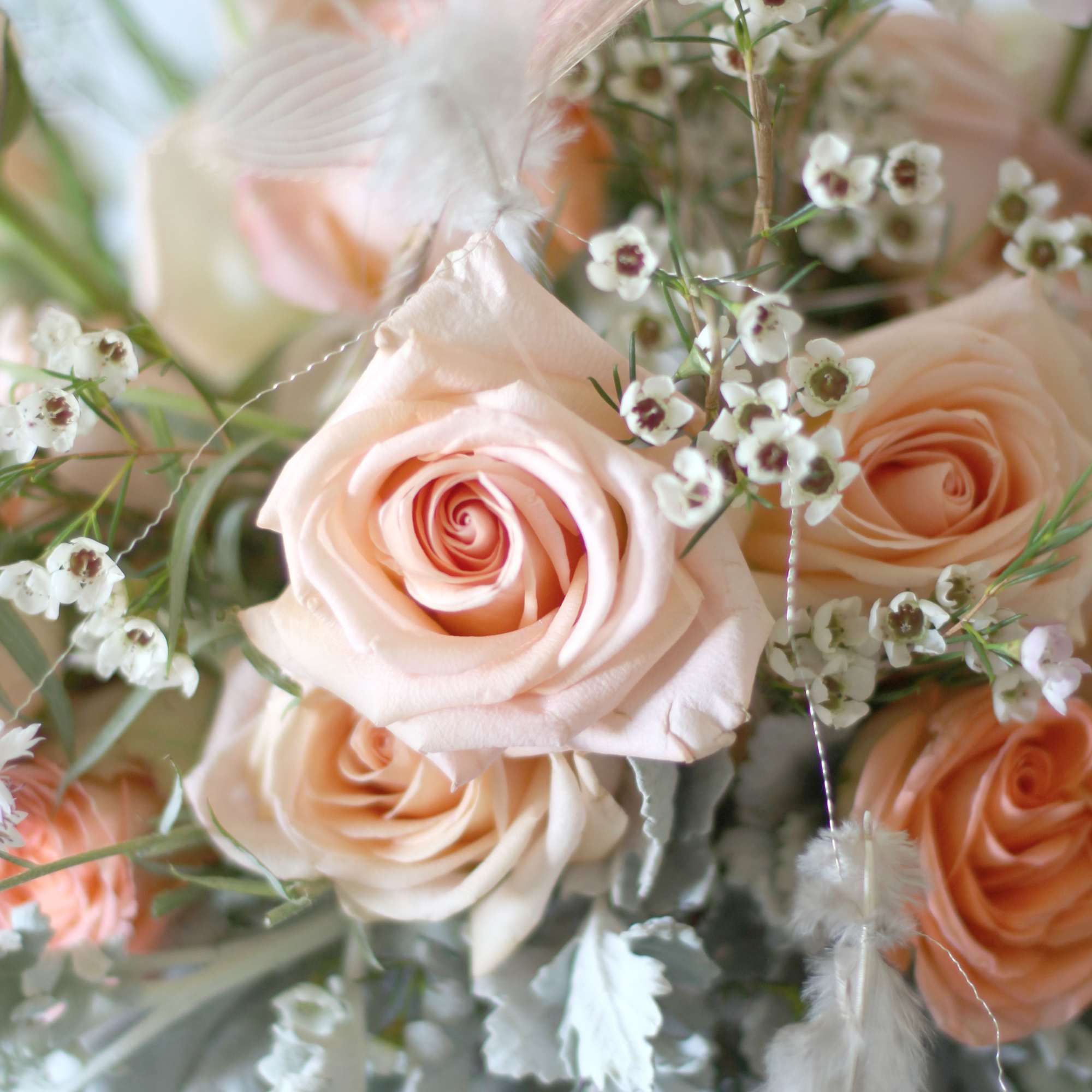 A peach Blush Ivory color palette create by Garden rose, peonies, seasonal