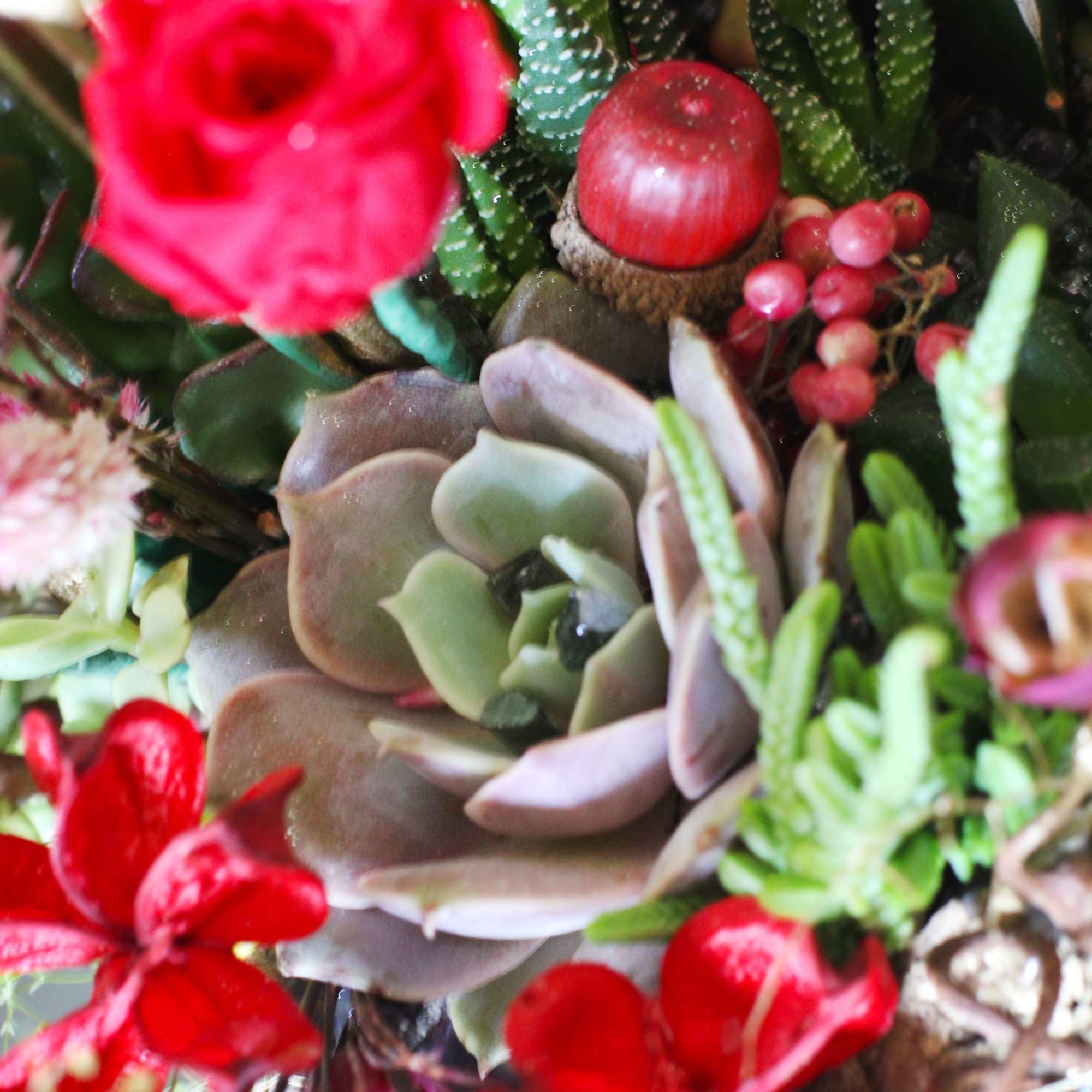 Our bestselling Assorted Succulent arranged in 7" Smile face ceramic seafoam color