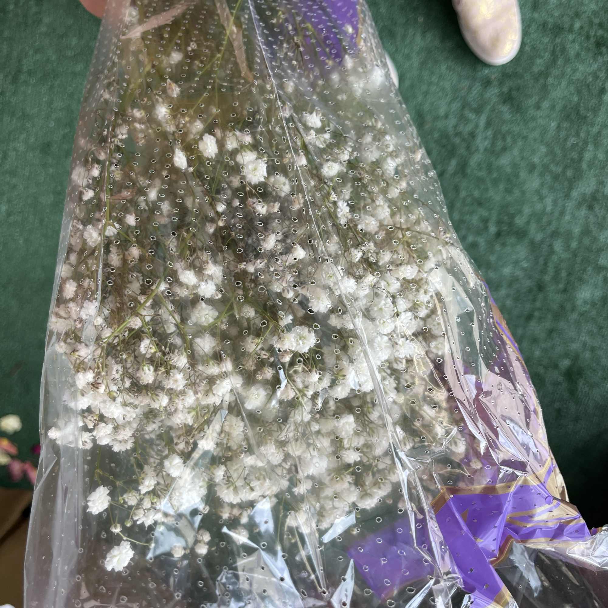 Averages 7 stem Gypsophillia