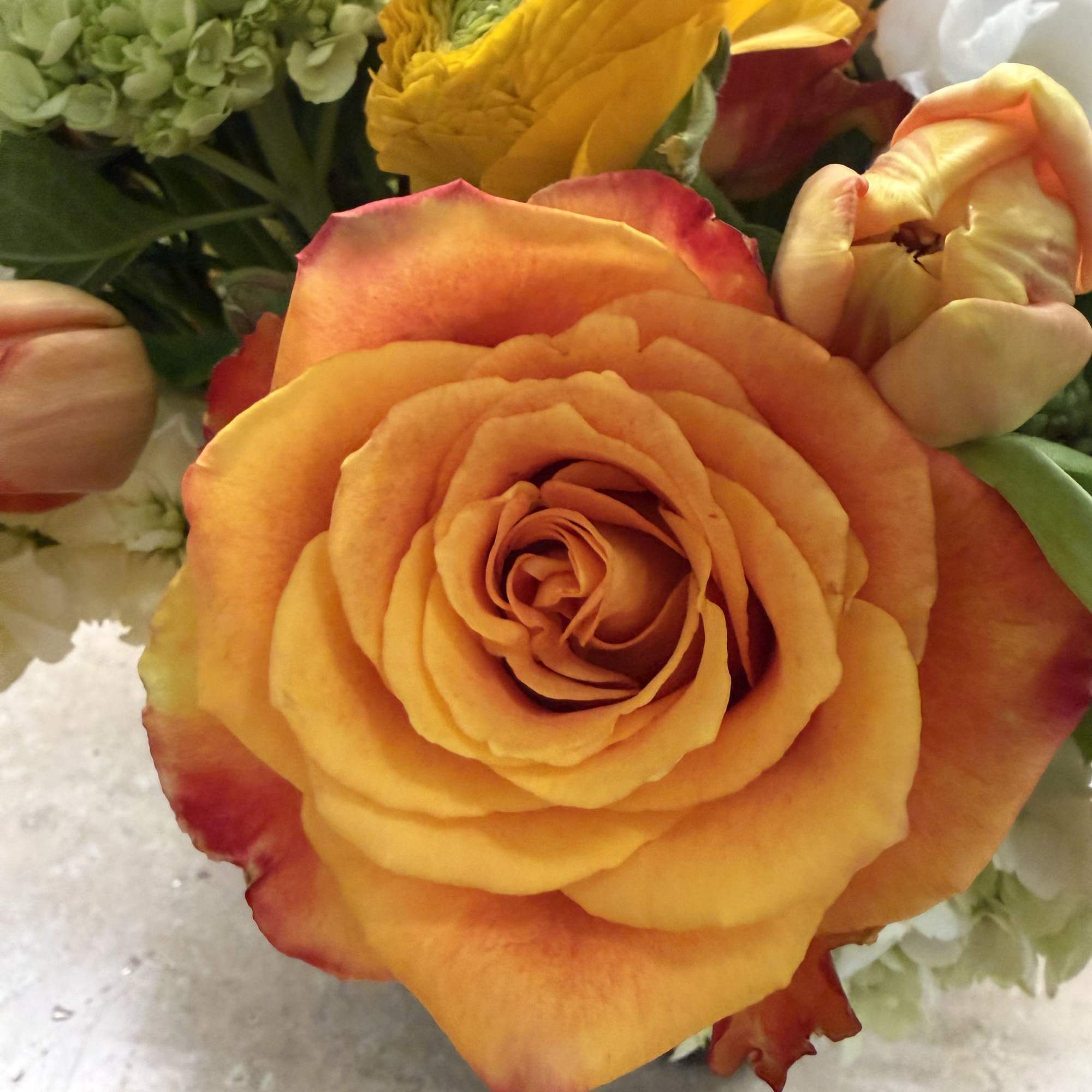 beautiful 
white lisianthus ,
ranunculus,
 tulips spray roses orange,
 Helleborus, 
green hydrangeas
blue Barrys