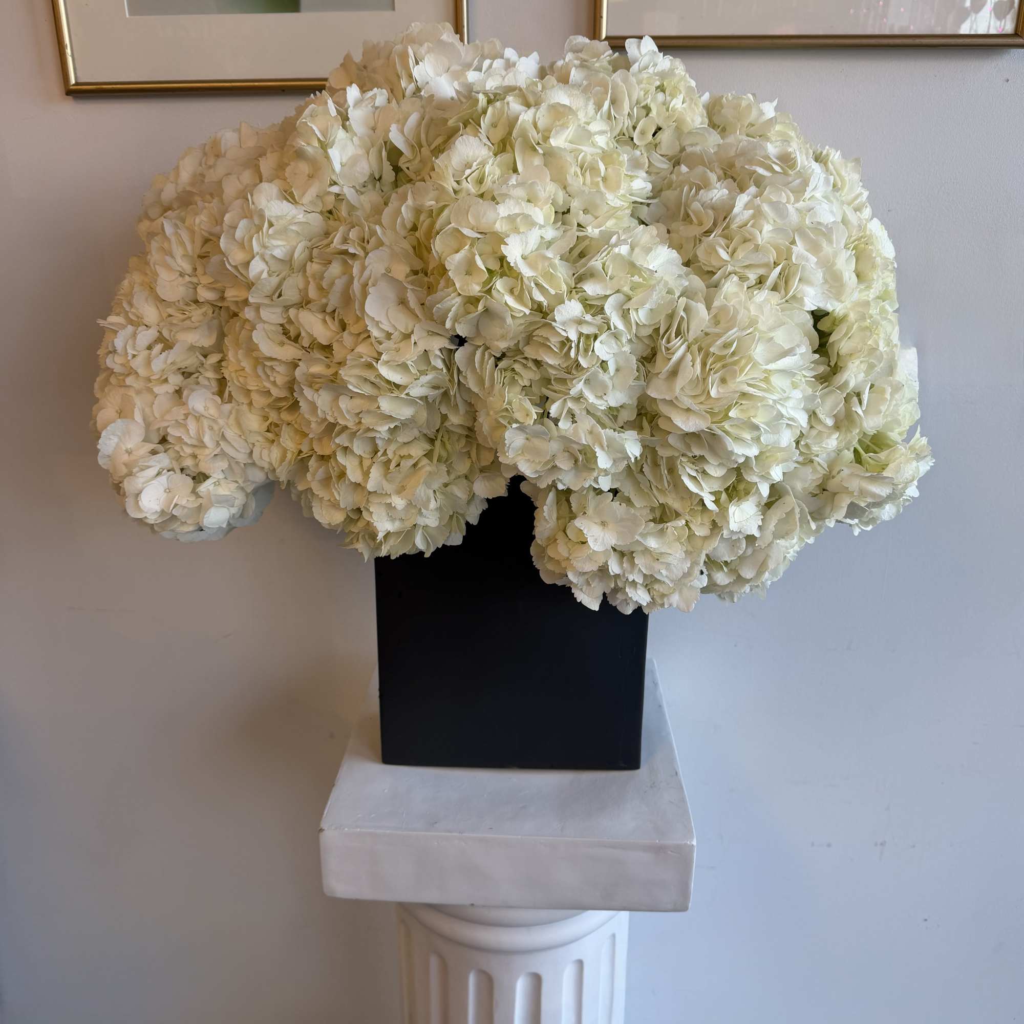 luxury arrangement
white Hydrangeas  