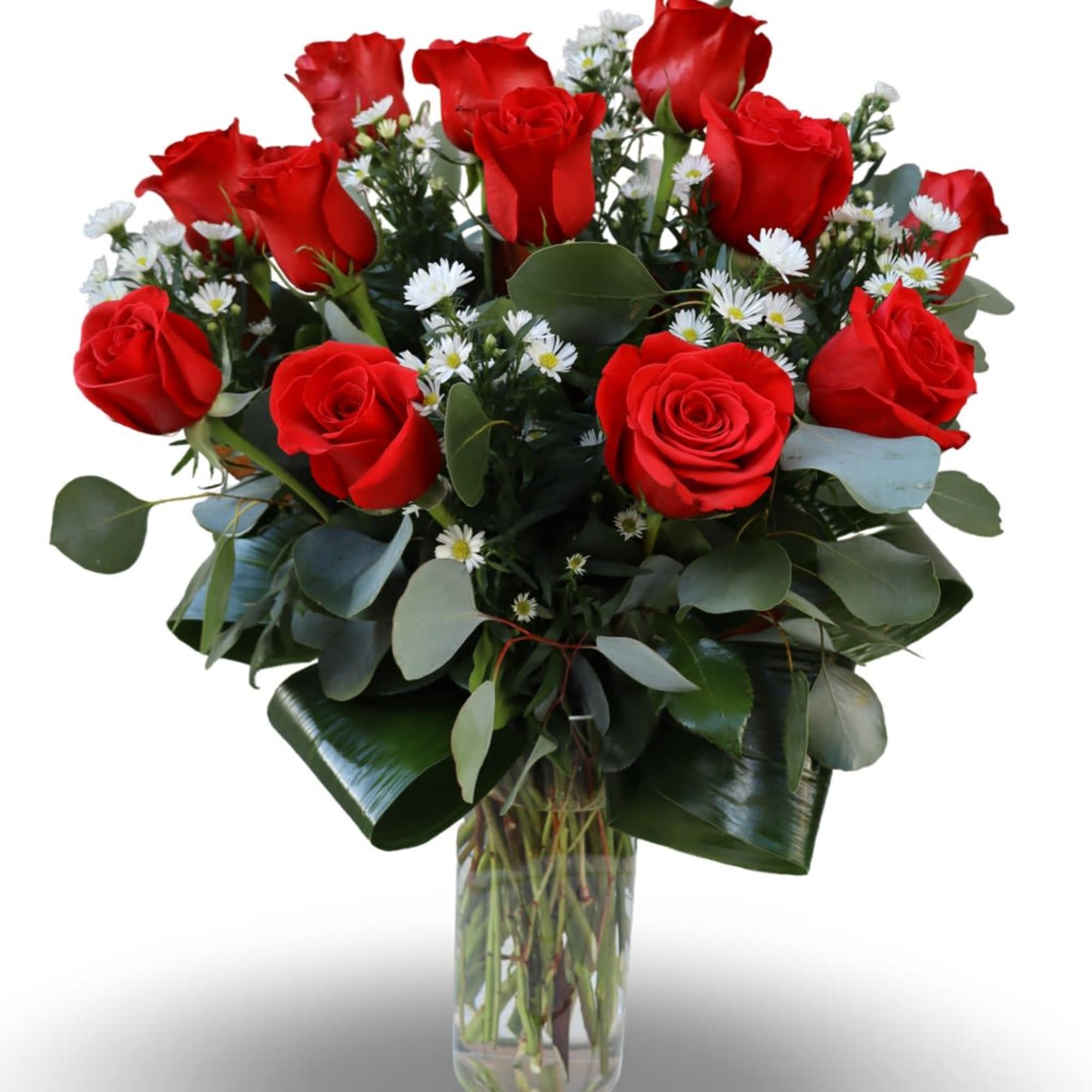 A timeless arrangement of fresh red roses accented with delicate white filler