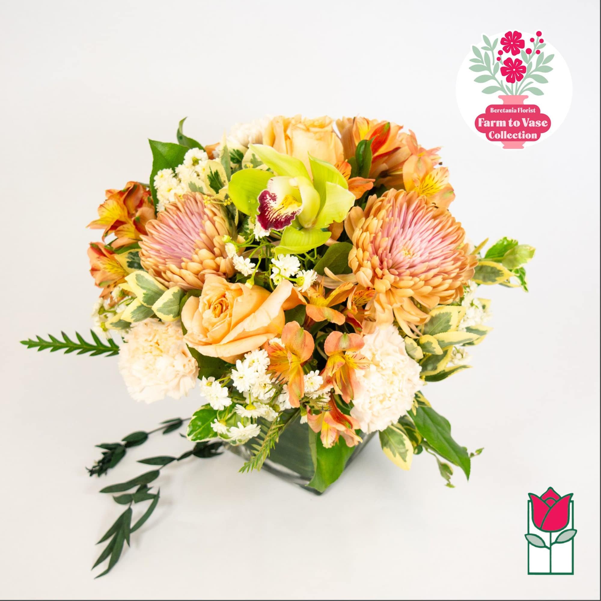 Feeling adventurous? Indulge in our Farm To Vase bouquet, a fresh floral